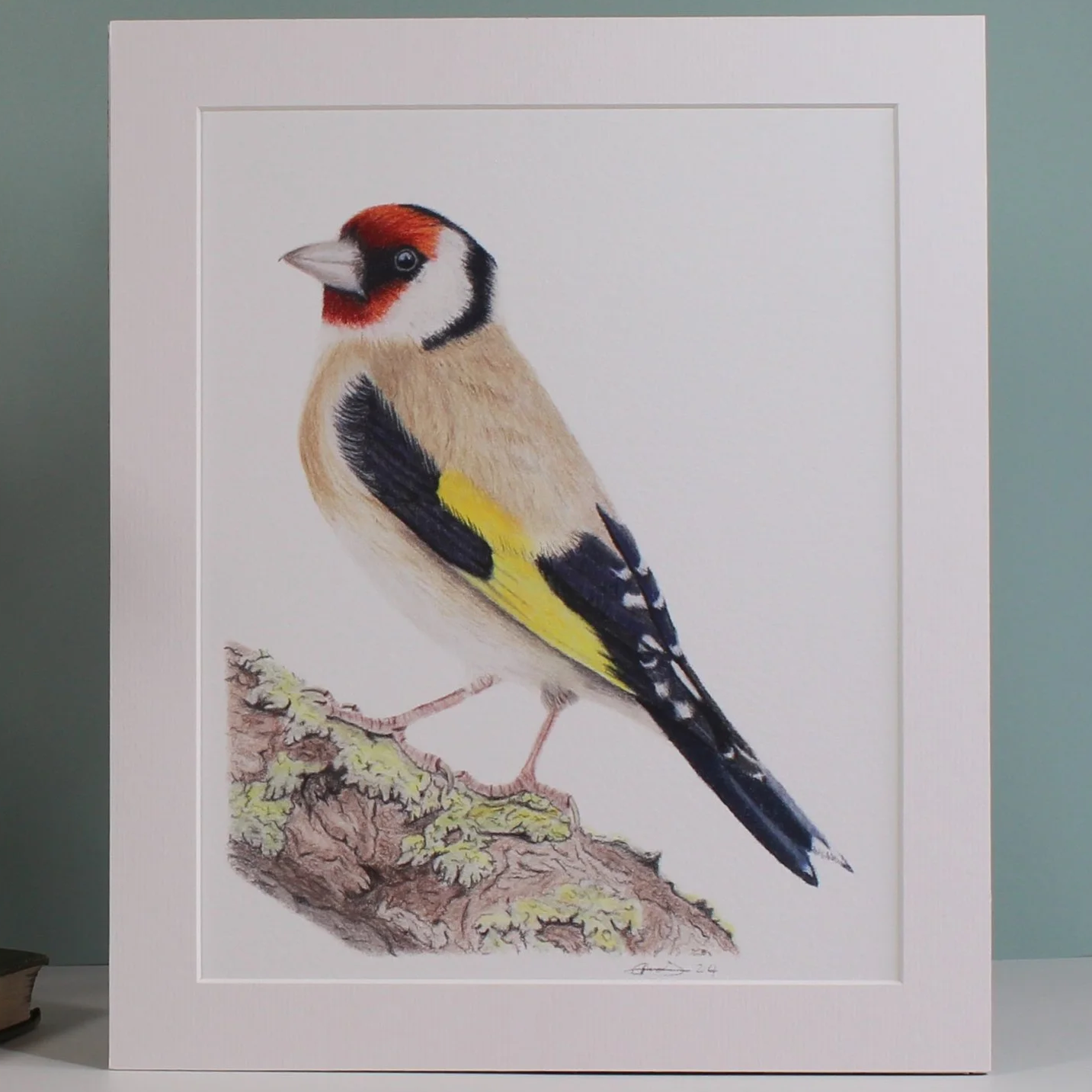 A close up photo of a goldfinch fine art mounted print.