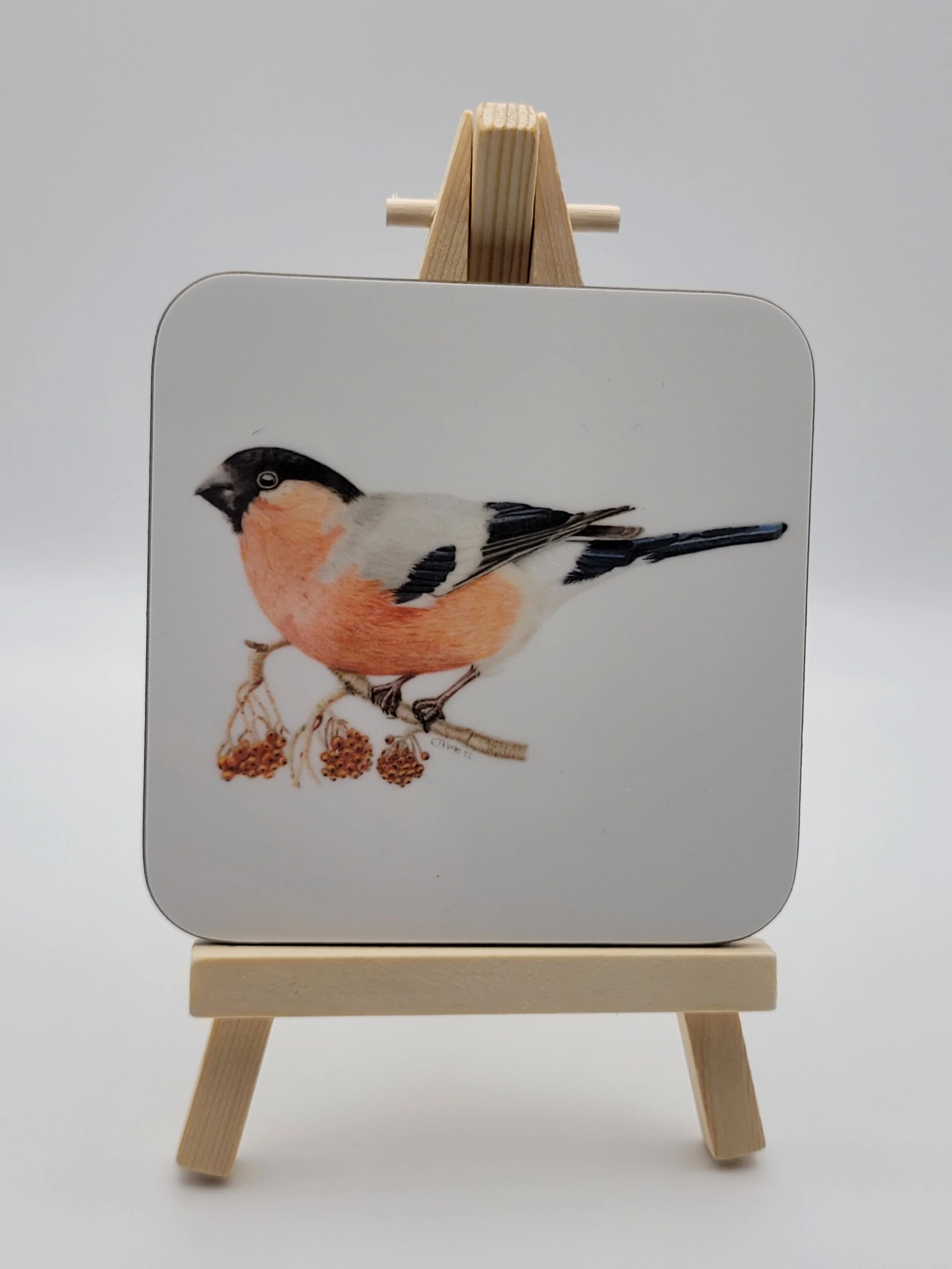 Bullfinch coaster.