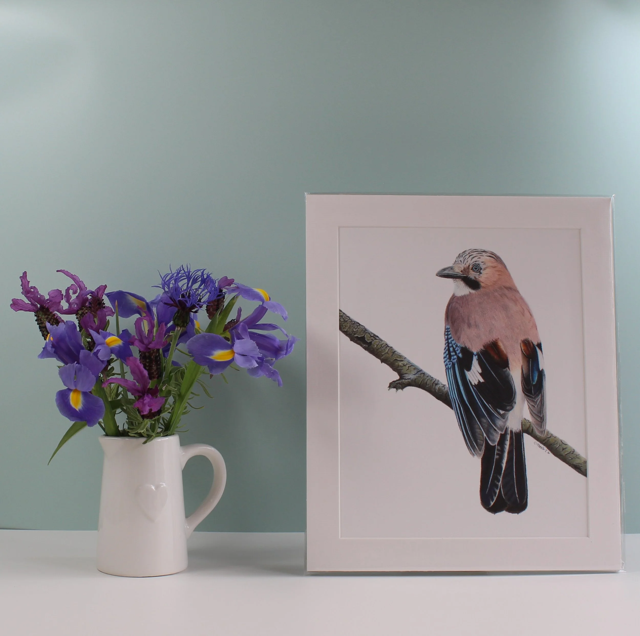 Jay fine art print (mounted and unframed)