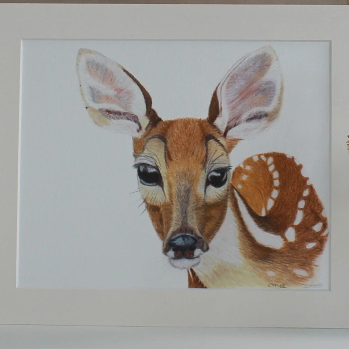 A close up photo of a fine art print featuring a deer drawing.