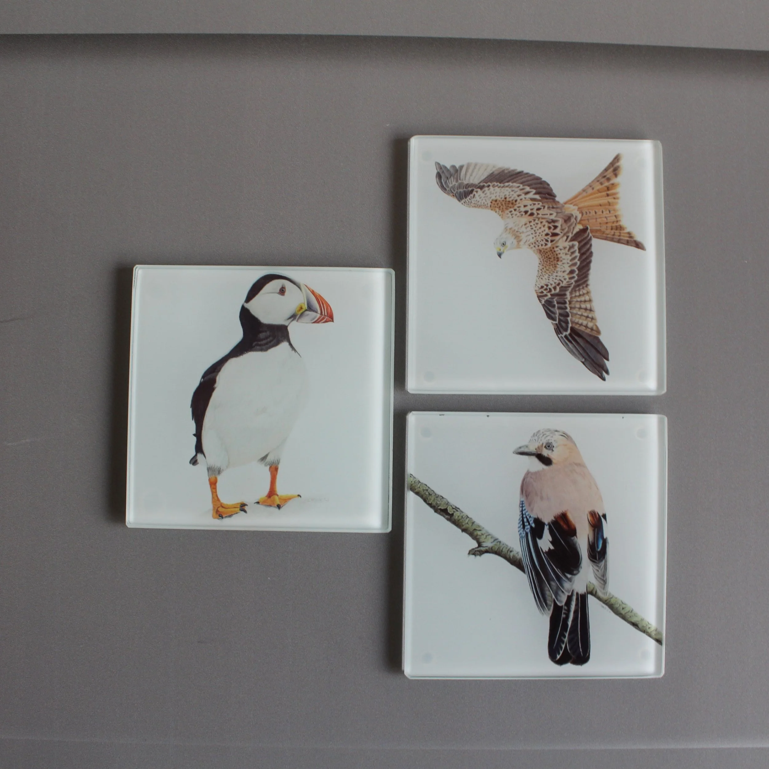 Puffin, jay and red kite glass coasters.