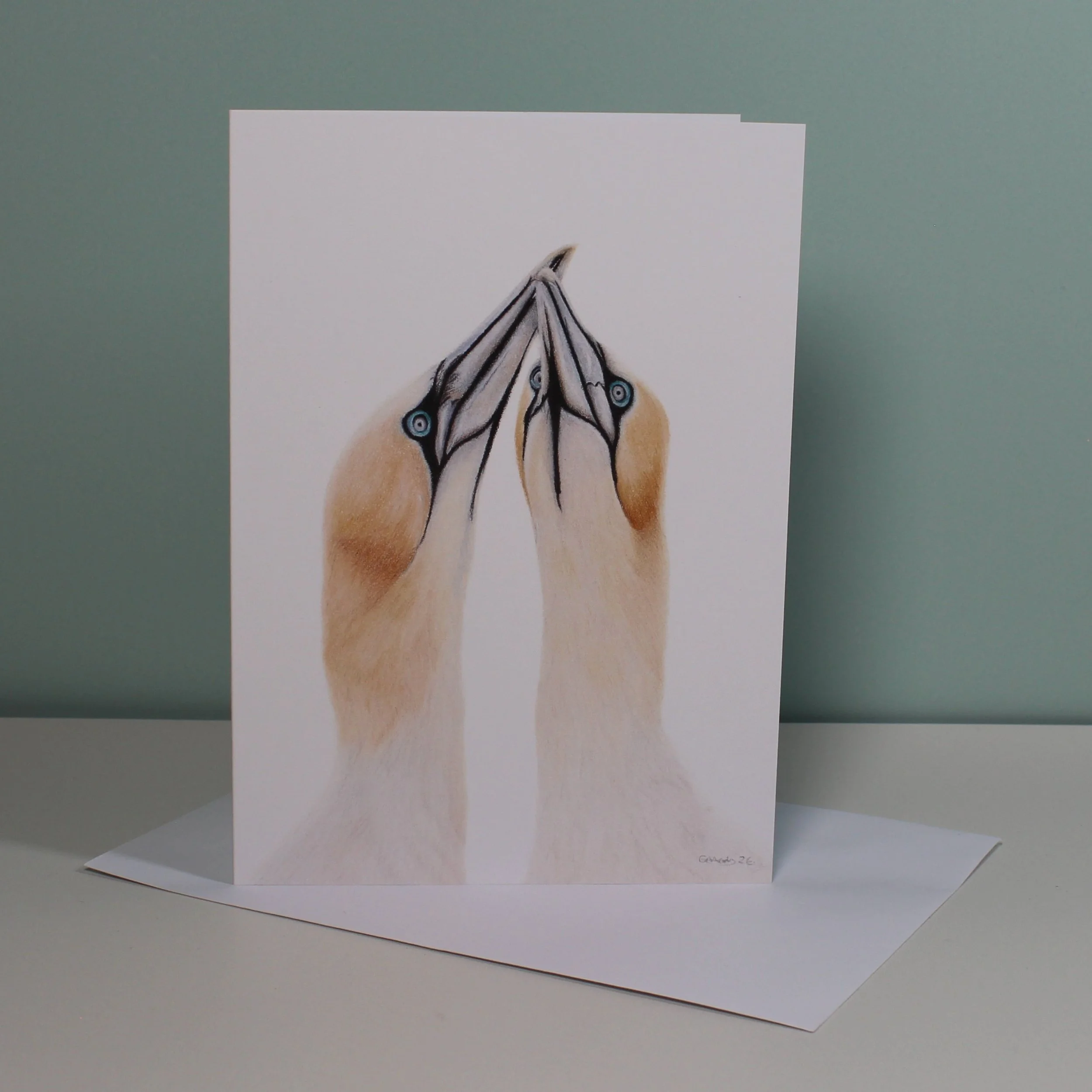 Gannets greetings card (blank inside).