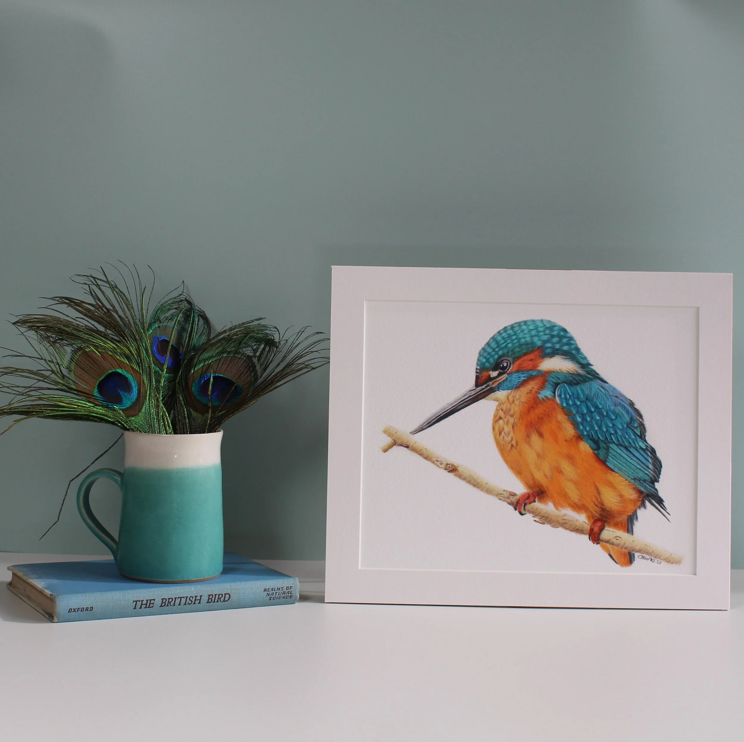 Kingfisher fine art print (mounted and unframed)