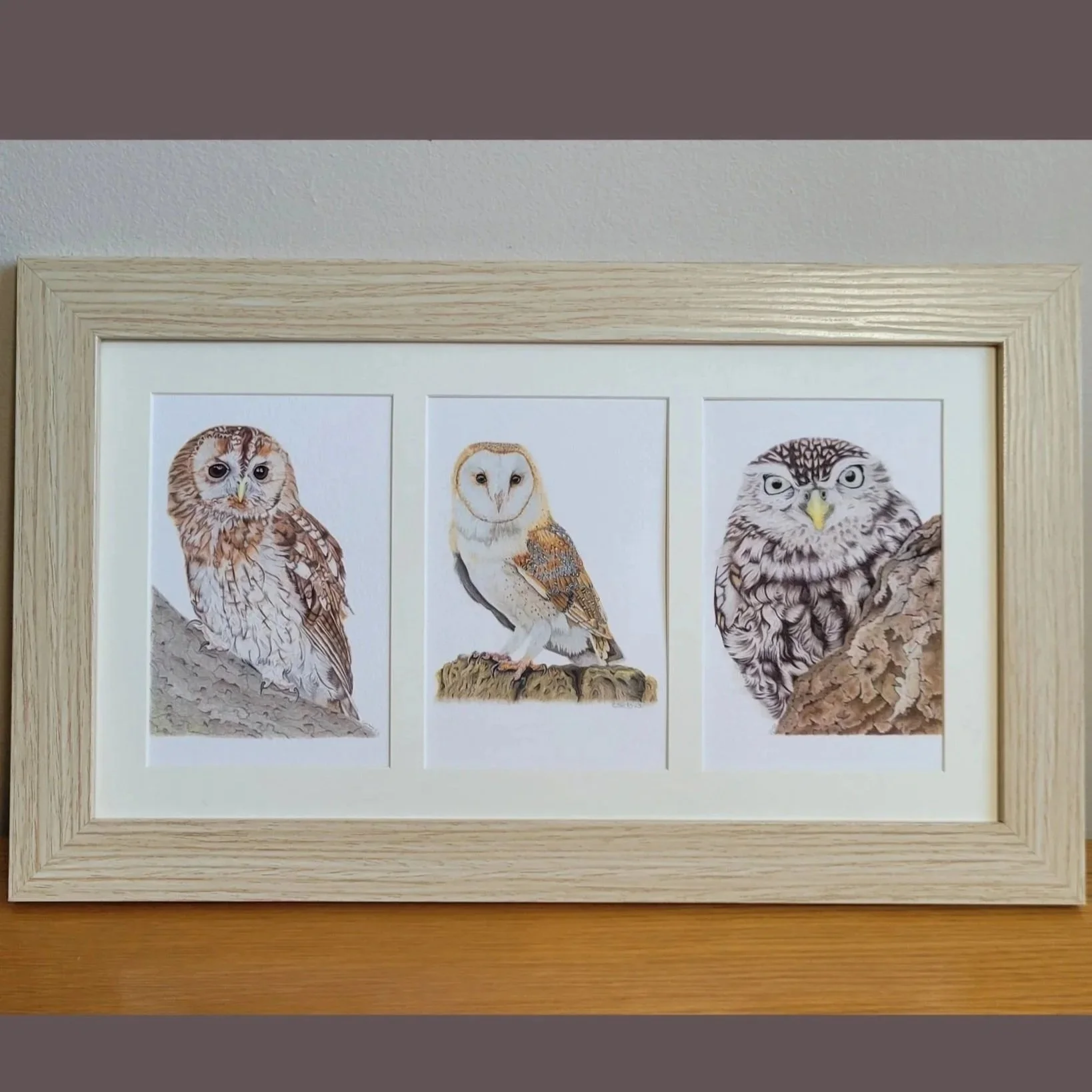 Framed fine art print of three British owls (tawny owl, barn owl, little owl)