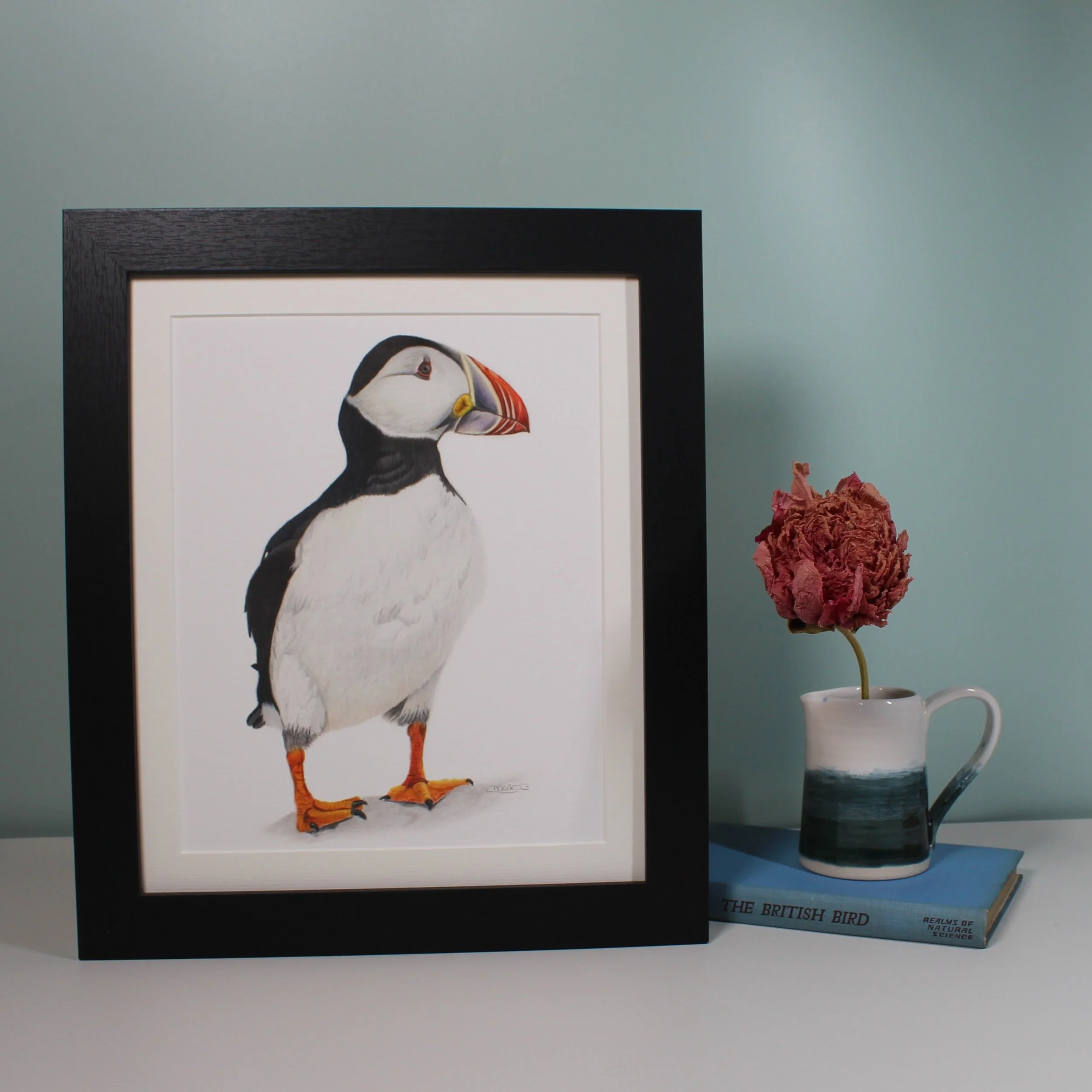Puffin large framed fine art print