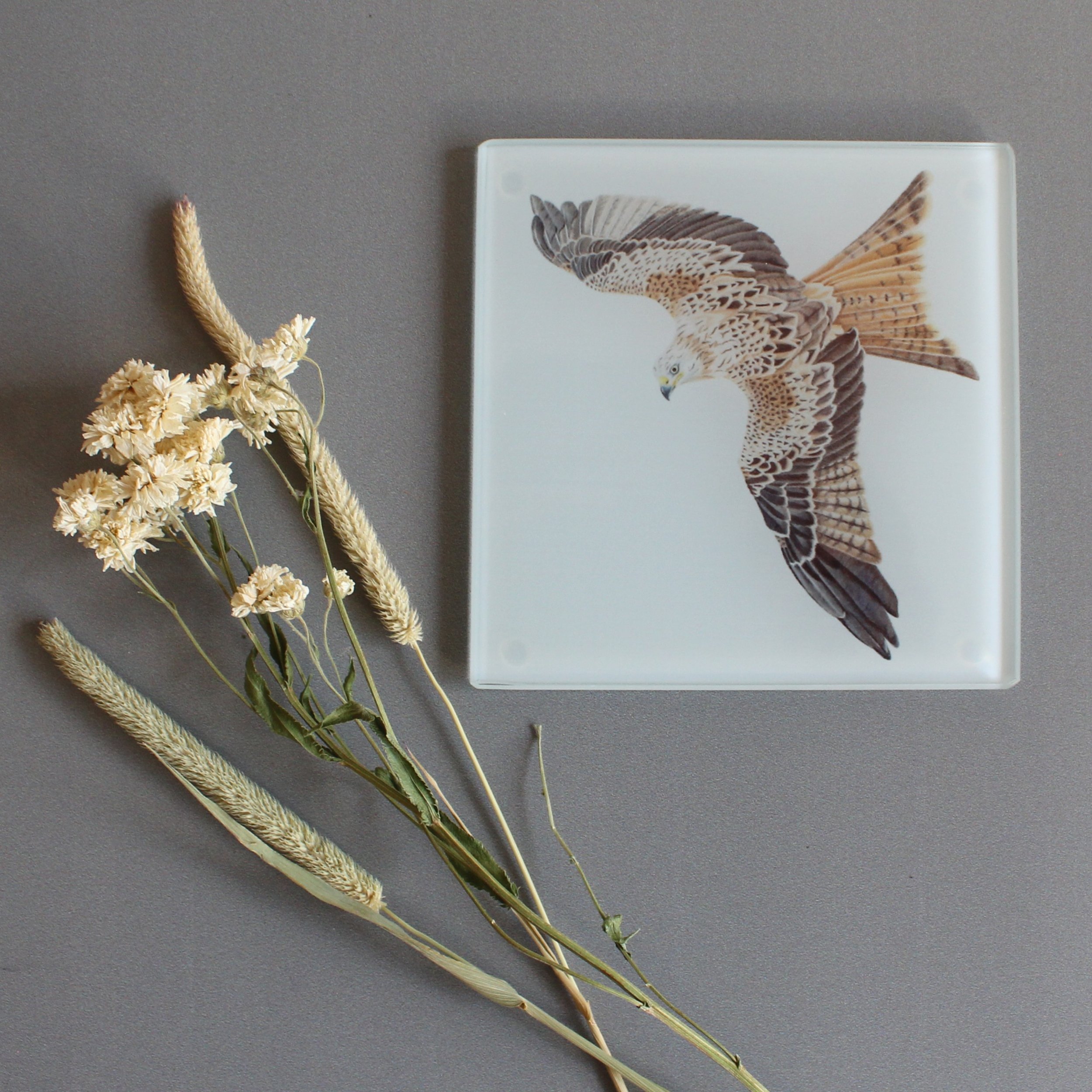 Red kite glass coasters