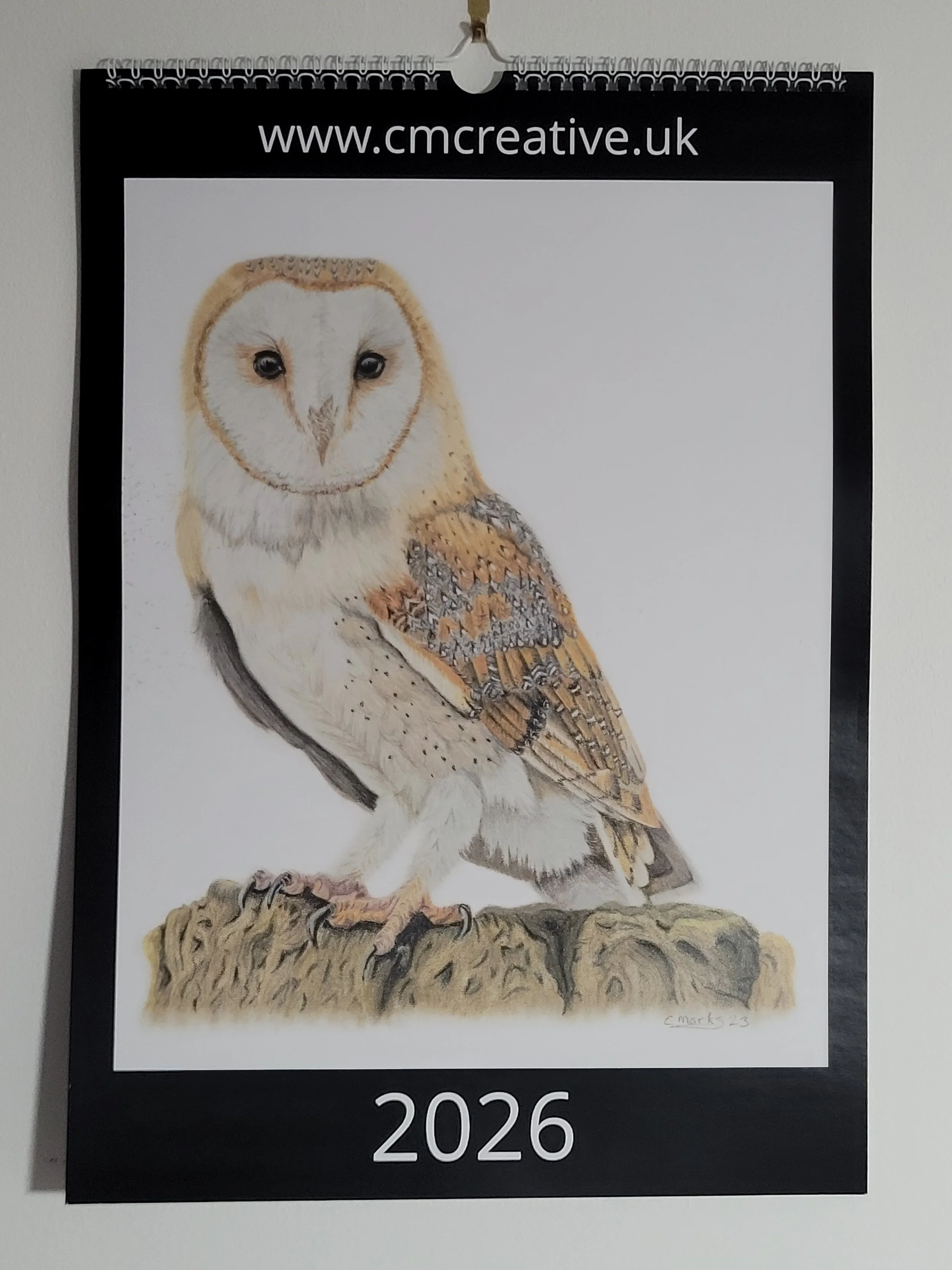 2026 British wildlife A3 wall calendar. The front cover features a barn owl.