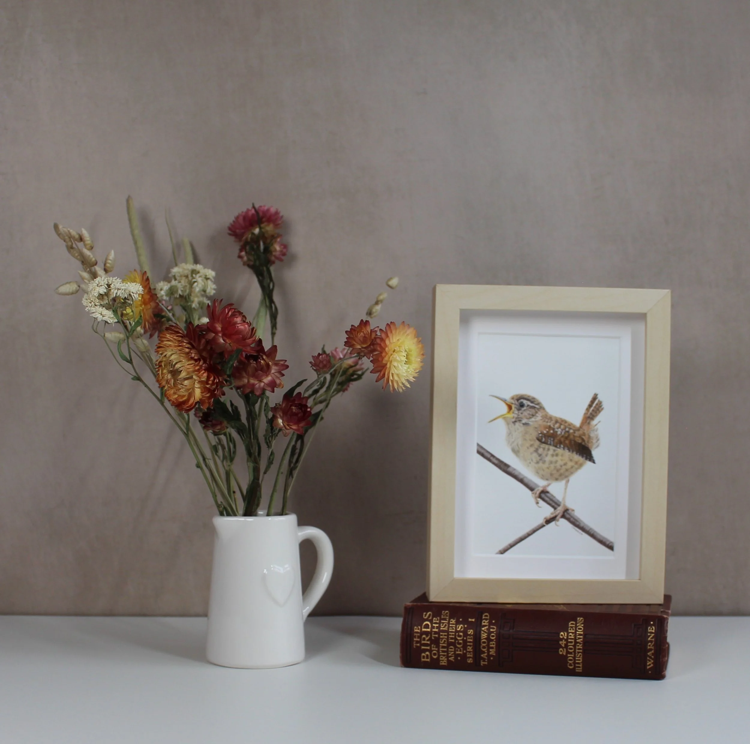 Wren small framed fine art print