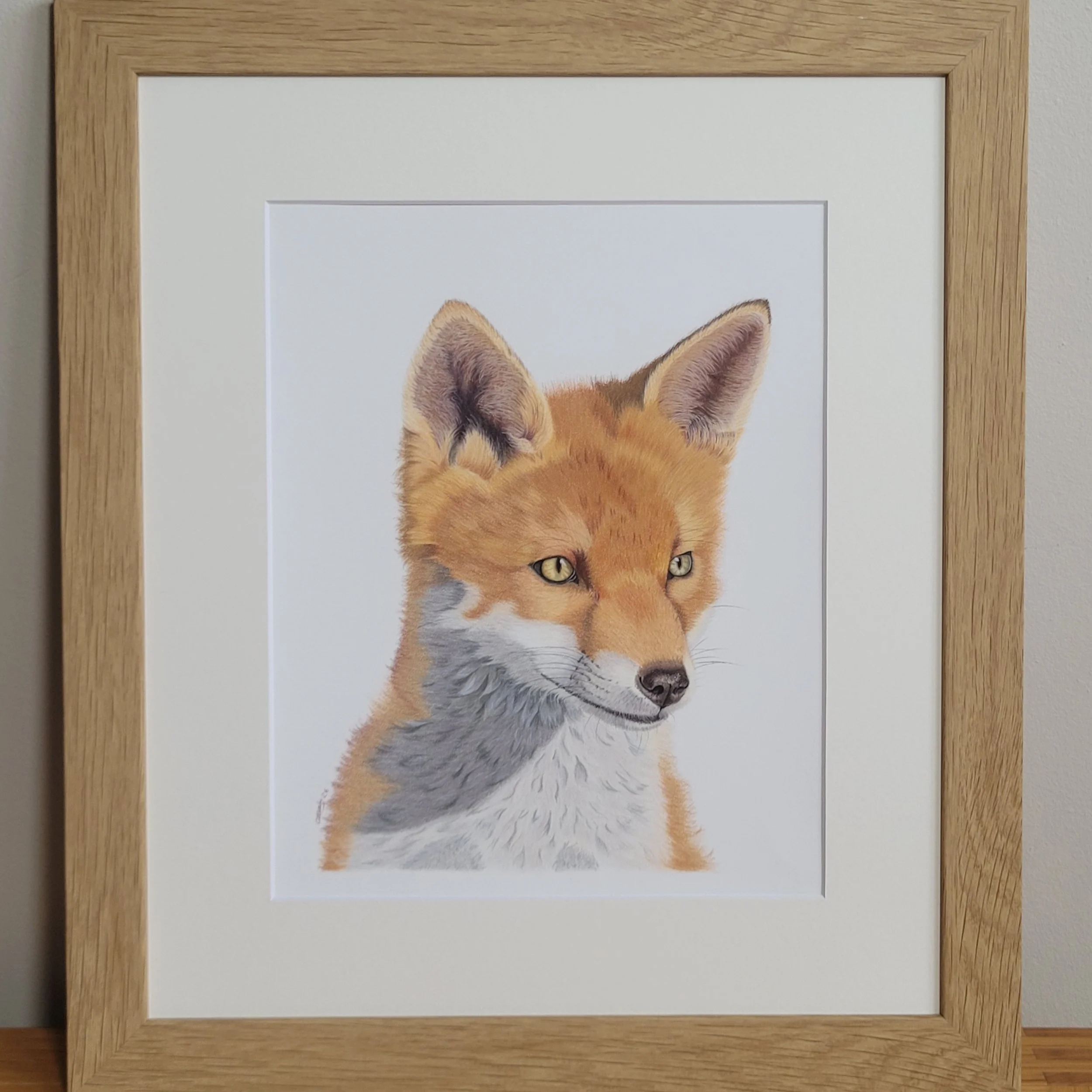 Gazing fox original artwork (mounted and framed)