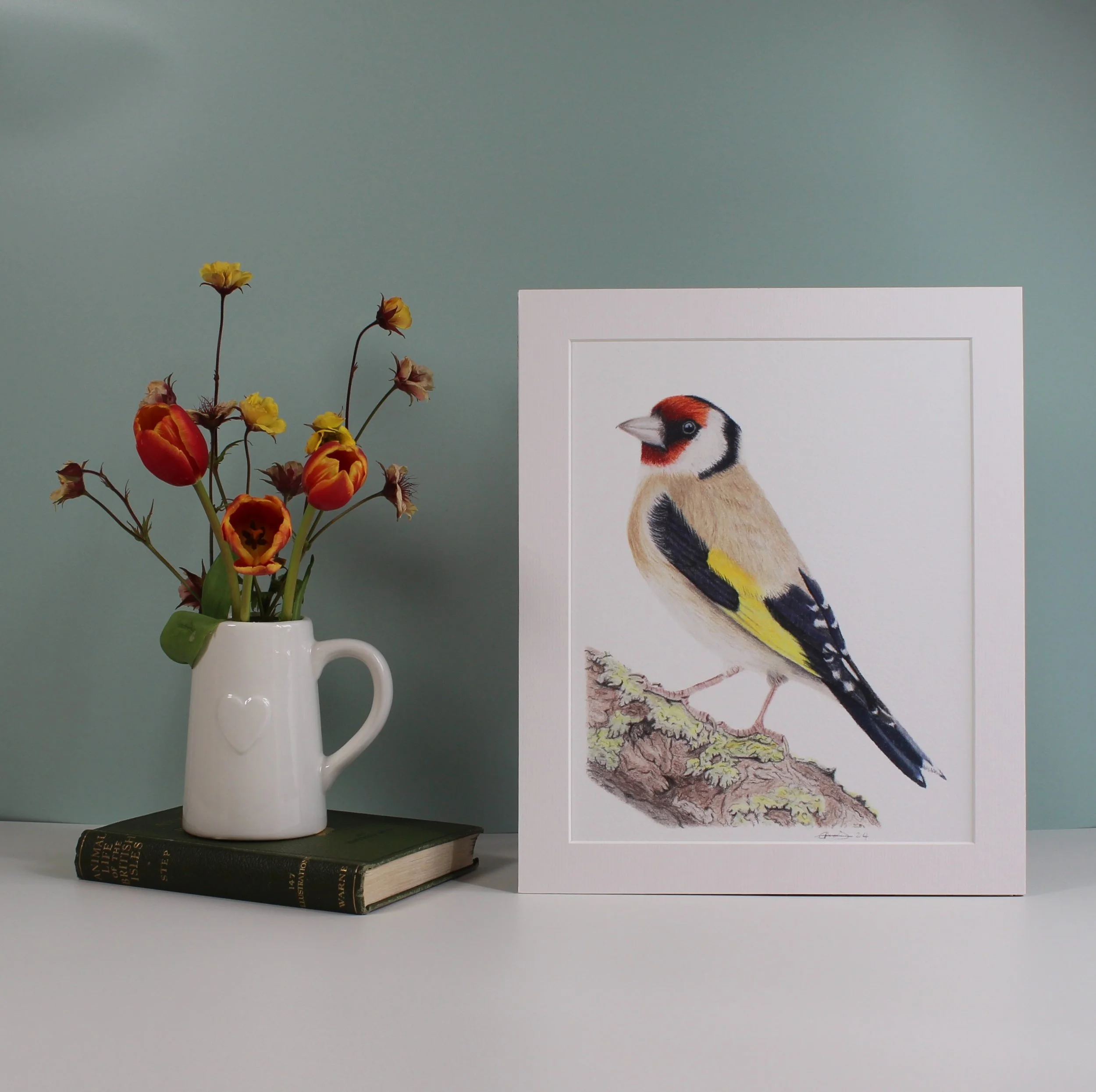 Goldfinch fine art print (mounted and unframed)