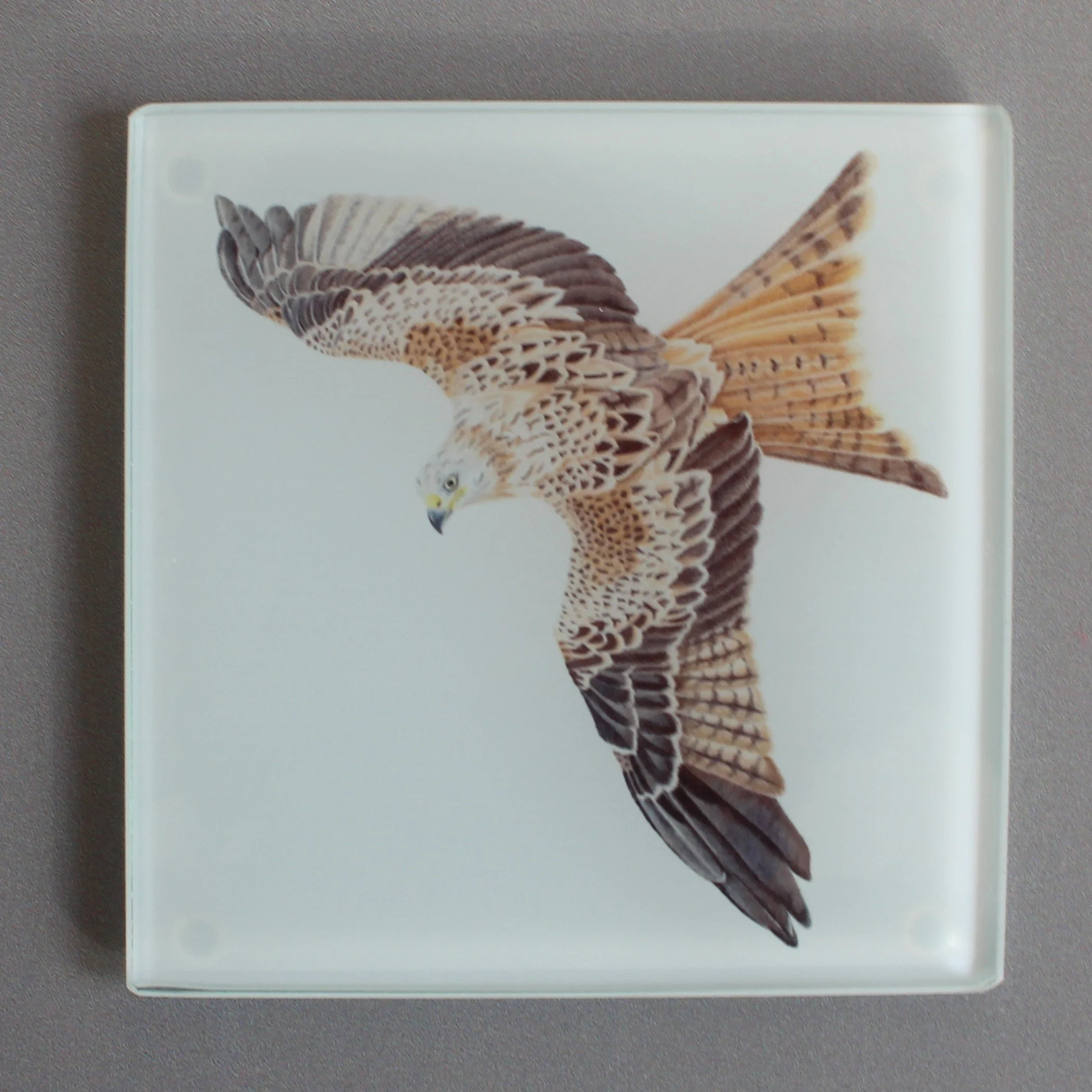 Red kite glass coasters.