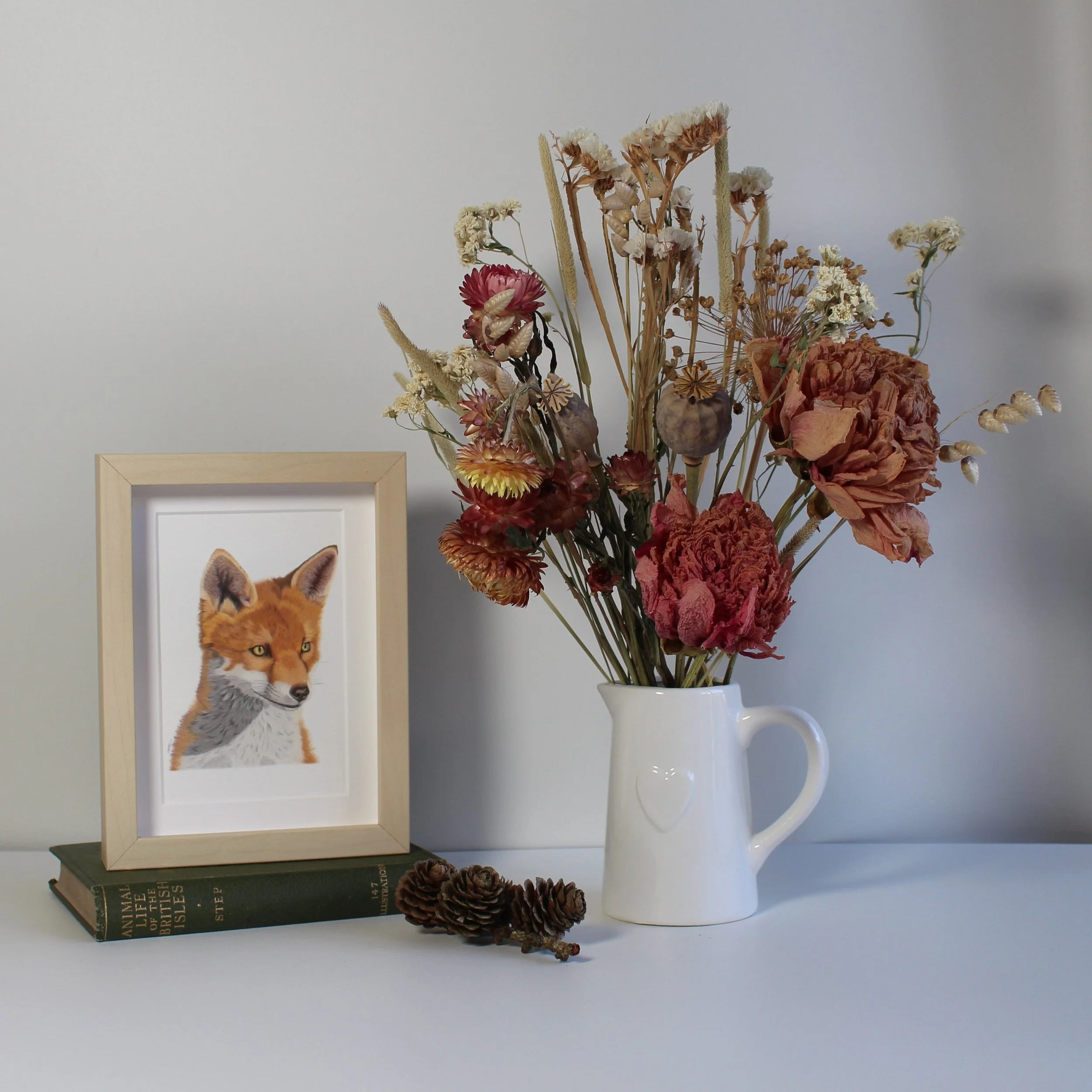 Gazing fox small framed fine art print