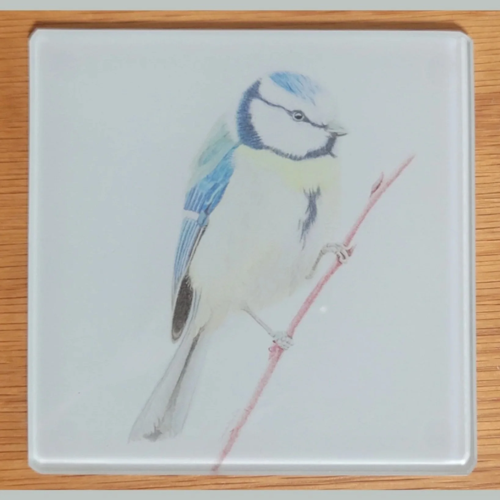 Blue tit glass coaster.