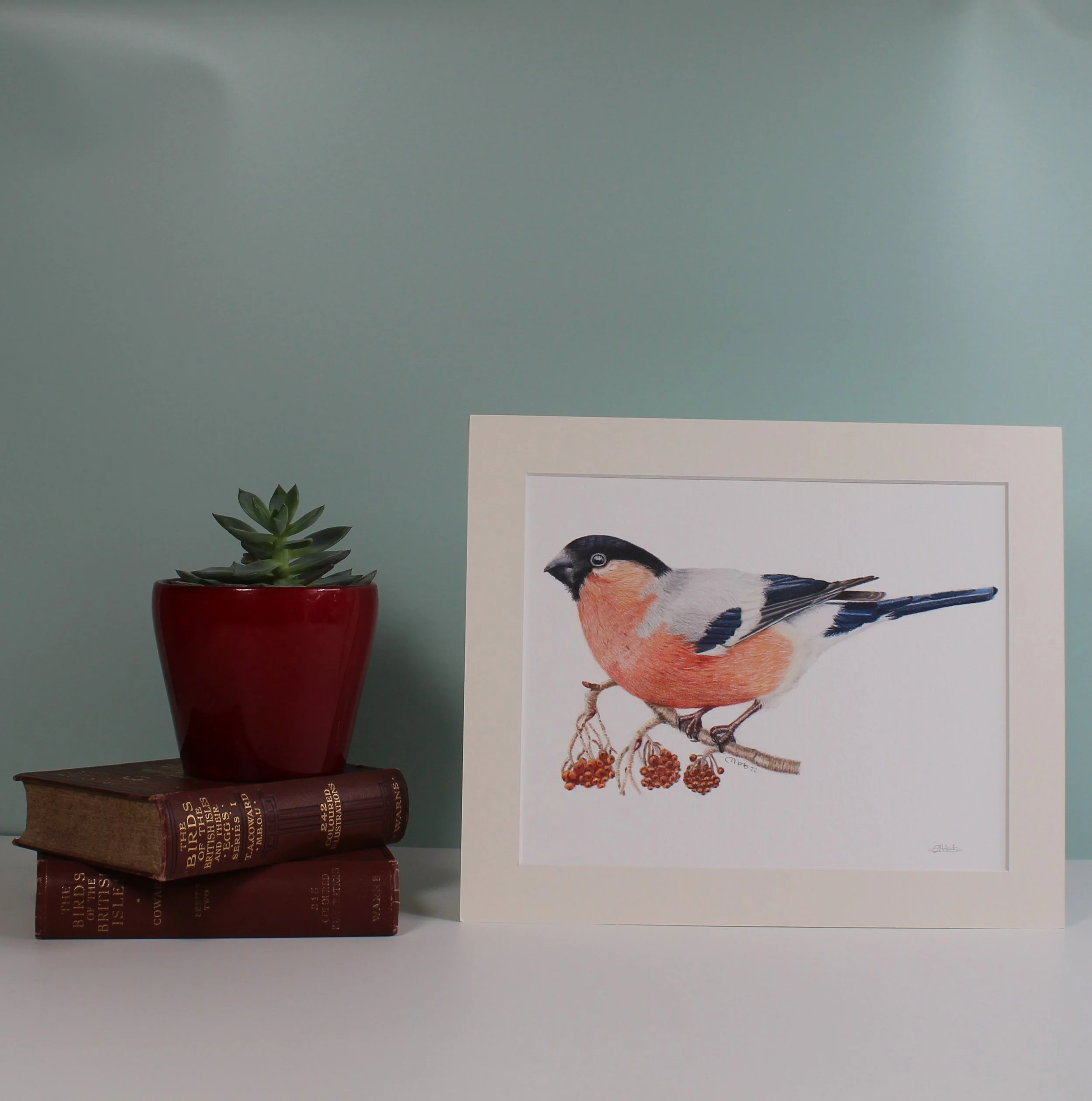 Bullfinch fine art print (mounted and unframed)