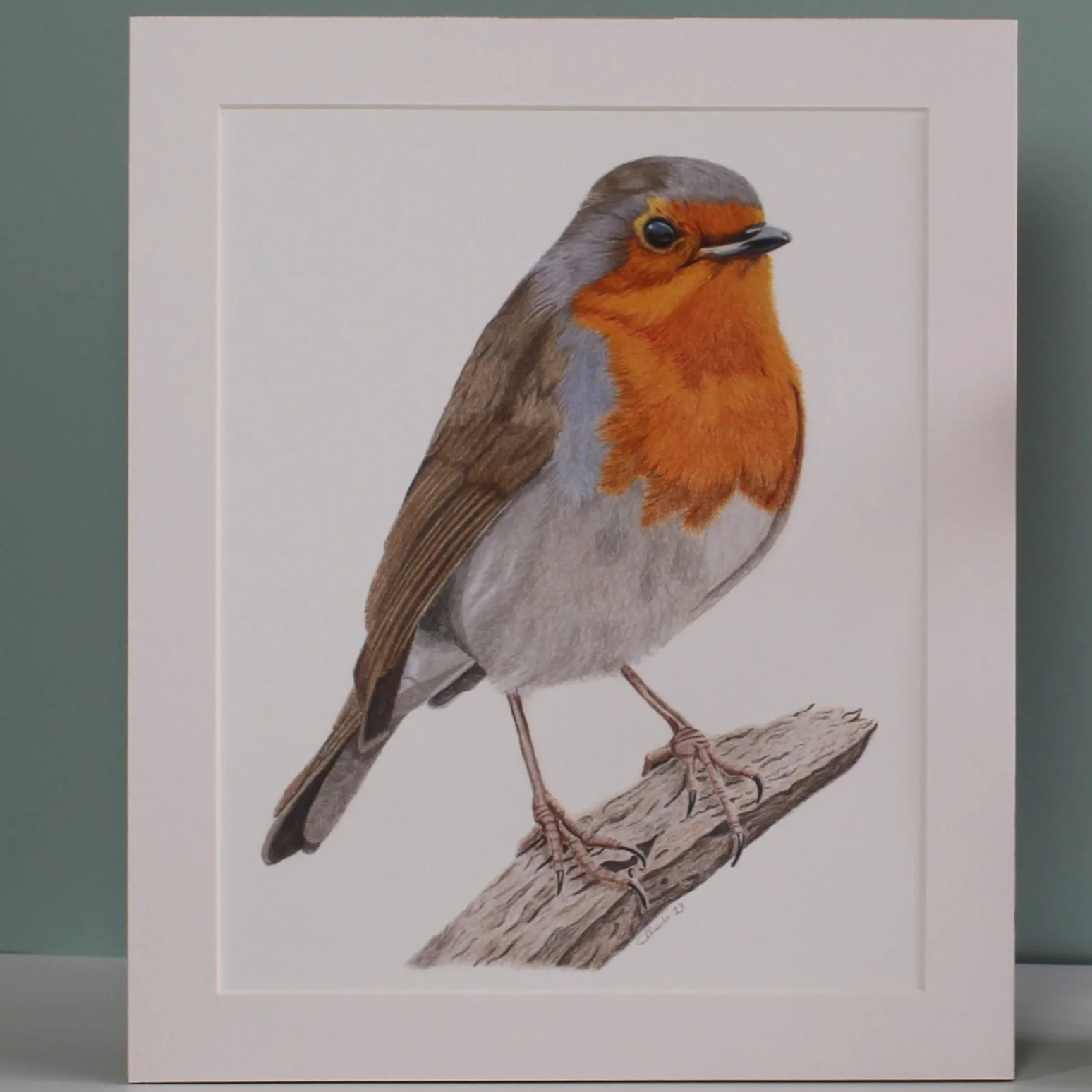 Robin mounted fine art print.