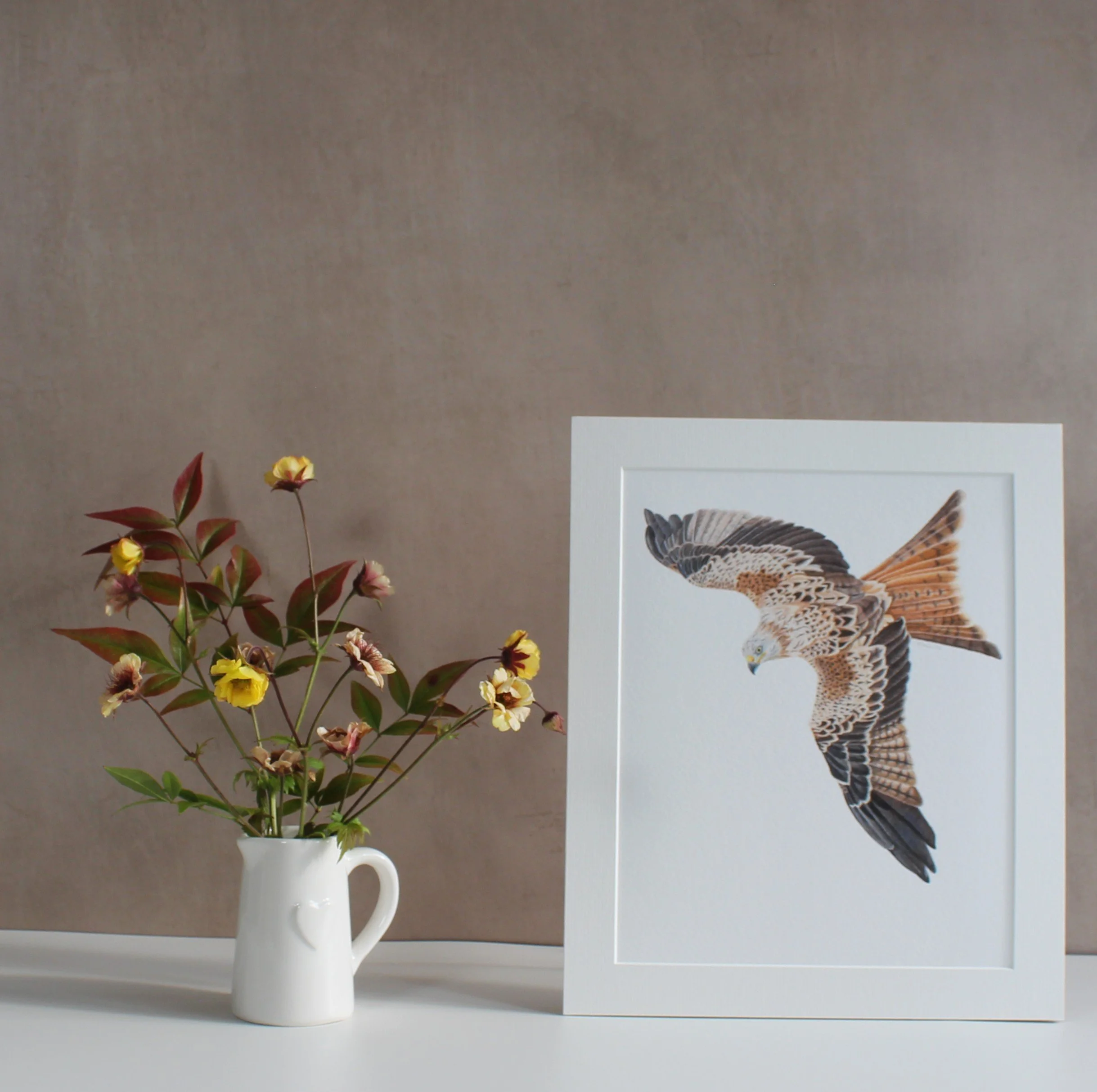 Red kite fine art print (mounted and unframed)