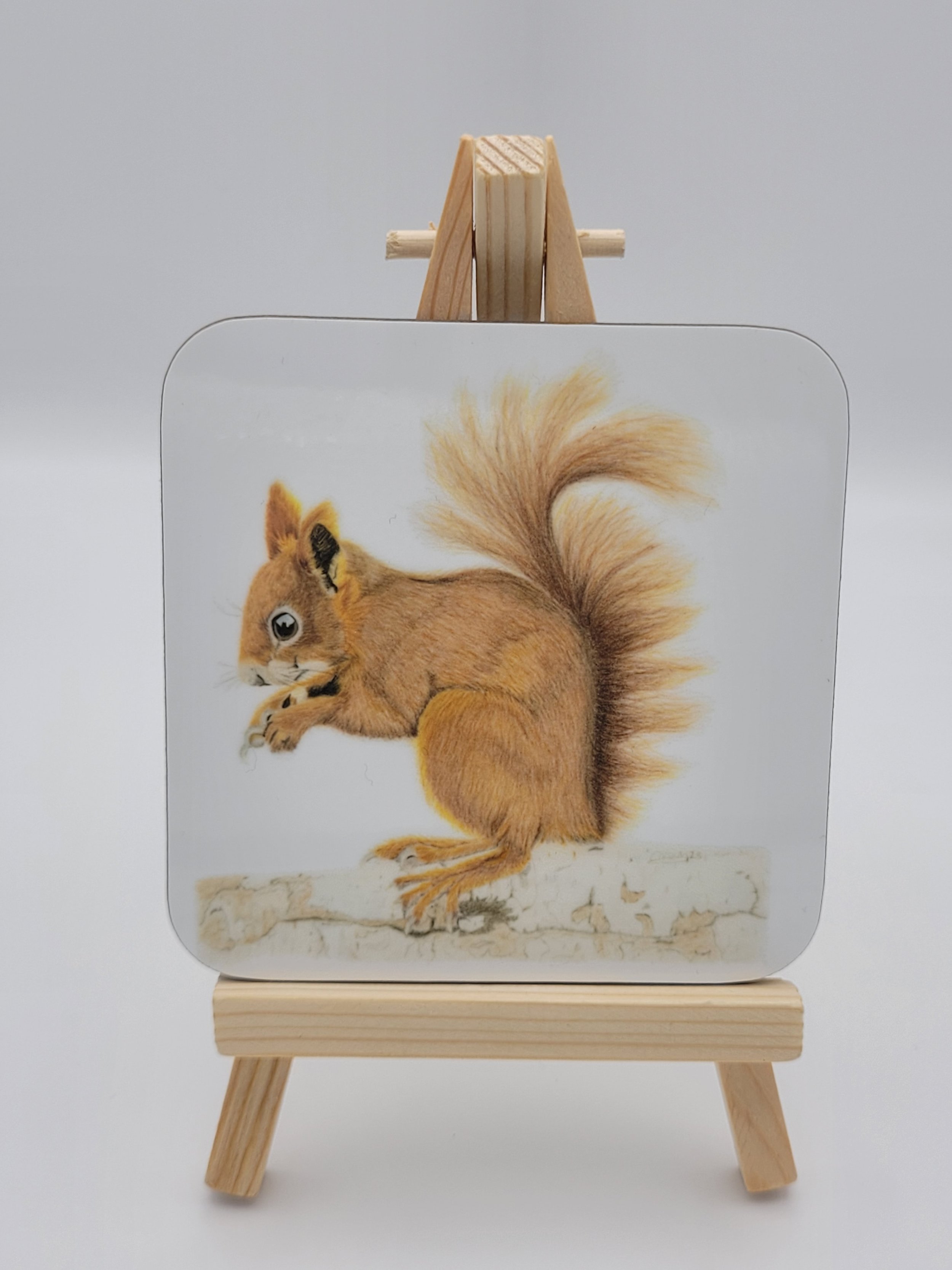 Individual glossy red squirrel coaster