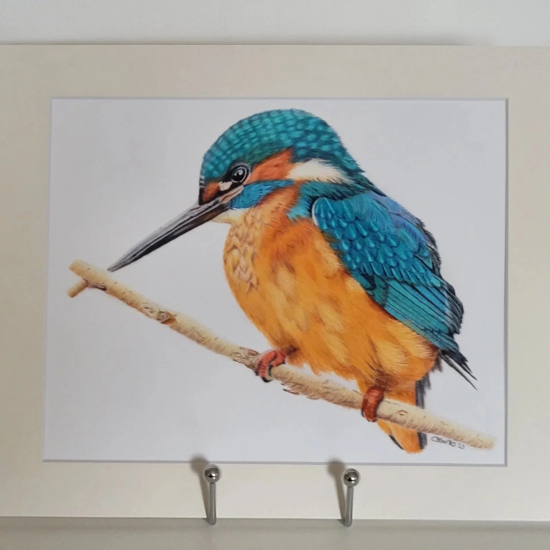 A close up photo of a kingfisher mounted print.