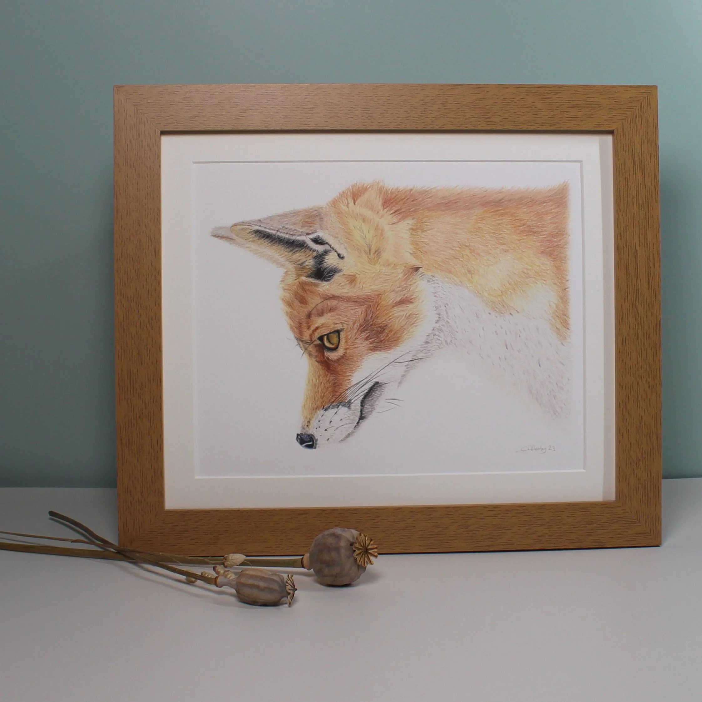 Fox large framed fine art print