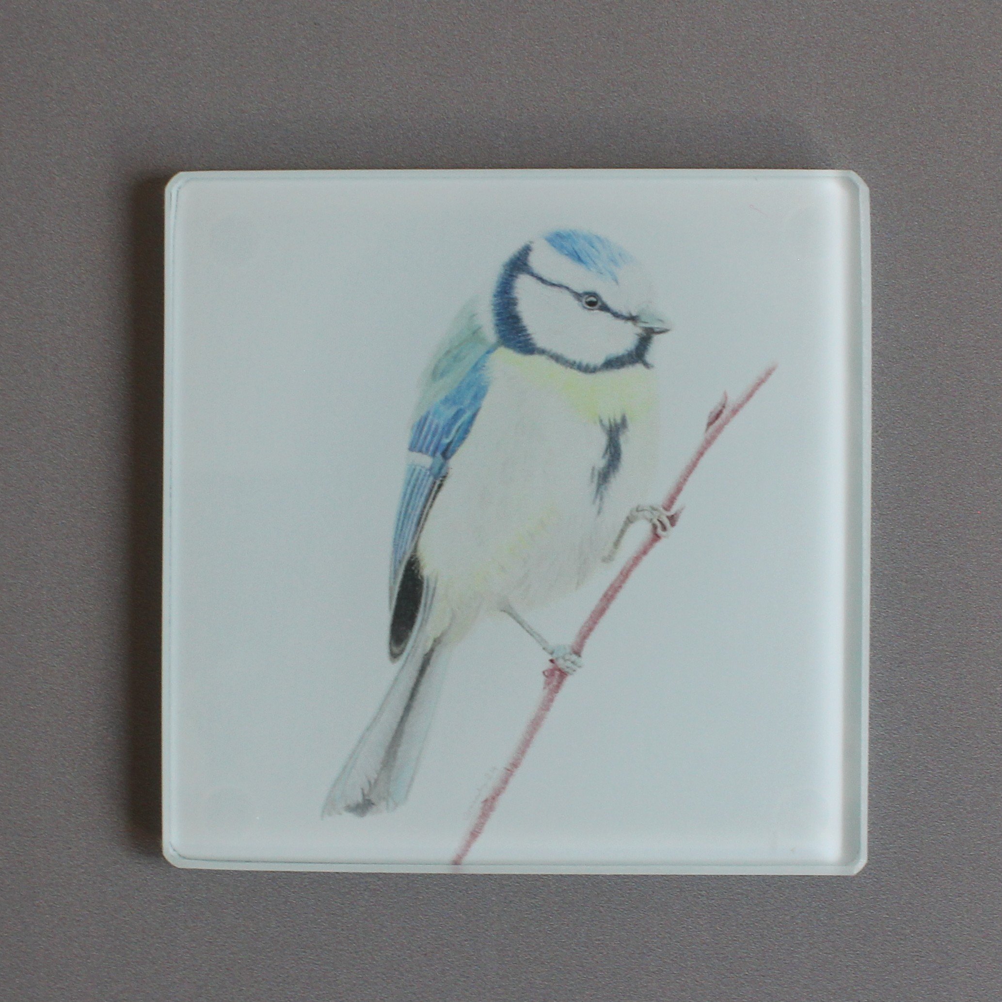 Blue tit glass coasters