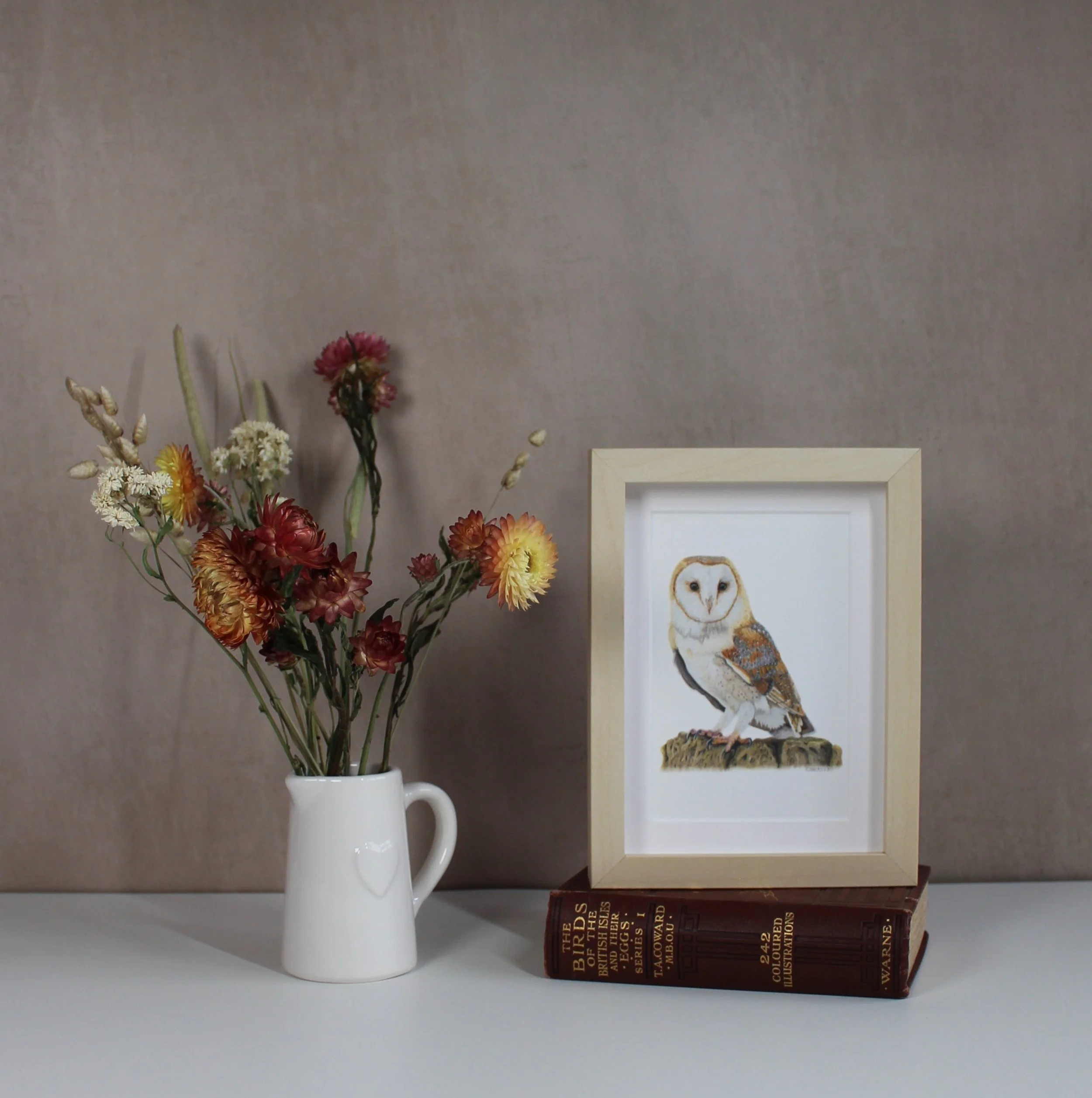 Barn owl small framed fine art print.
