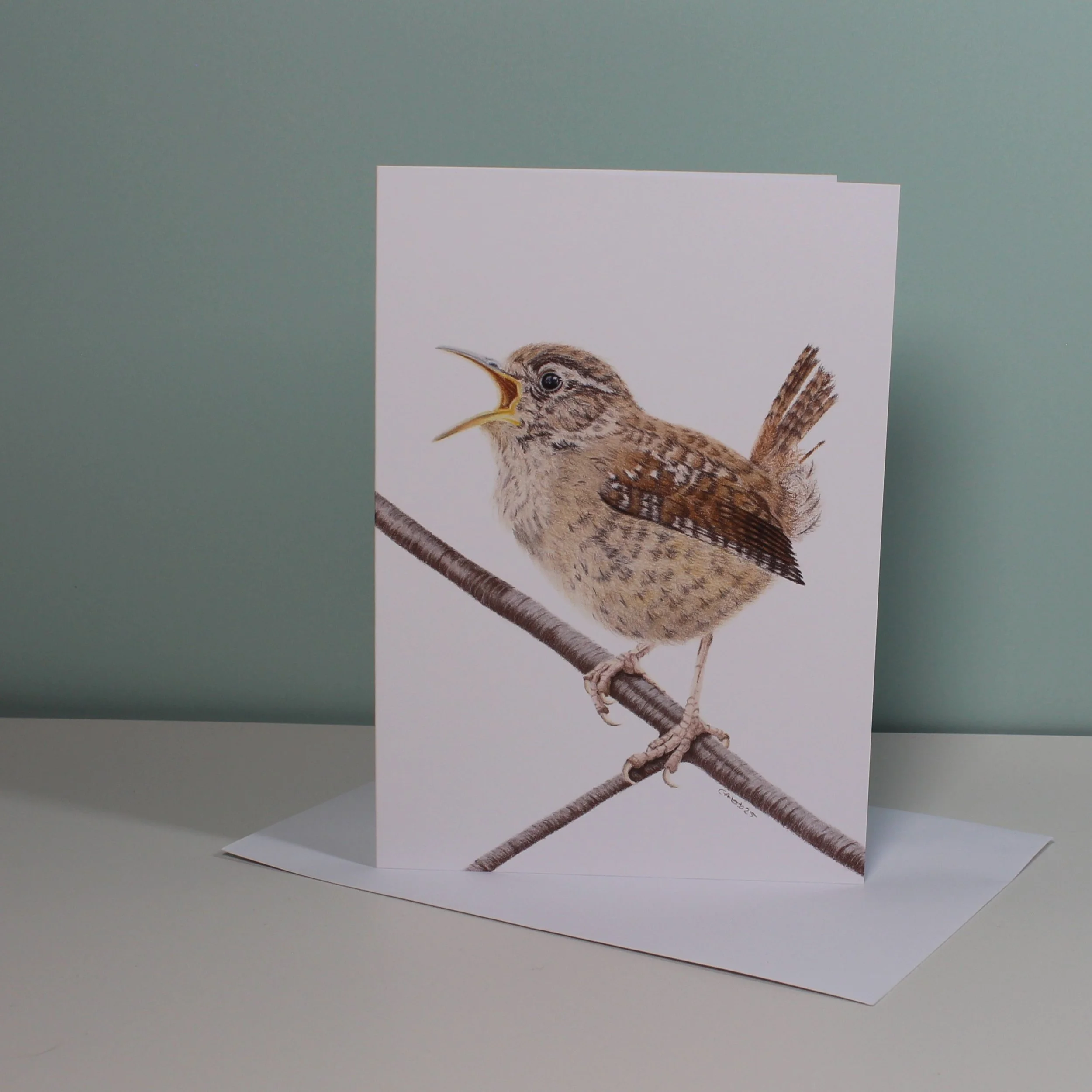 Singing wren greetings card (blank inside).