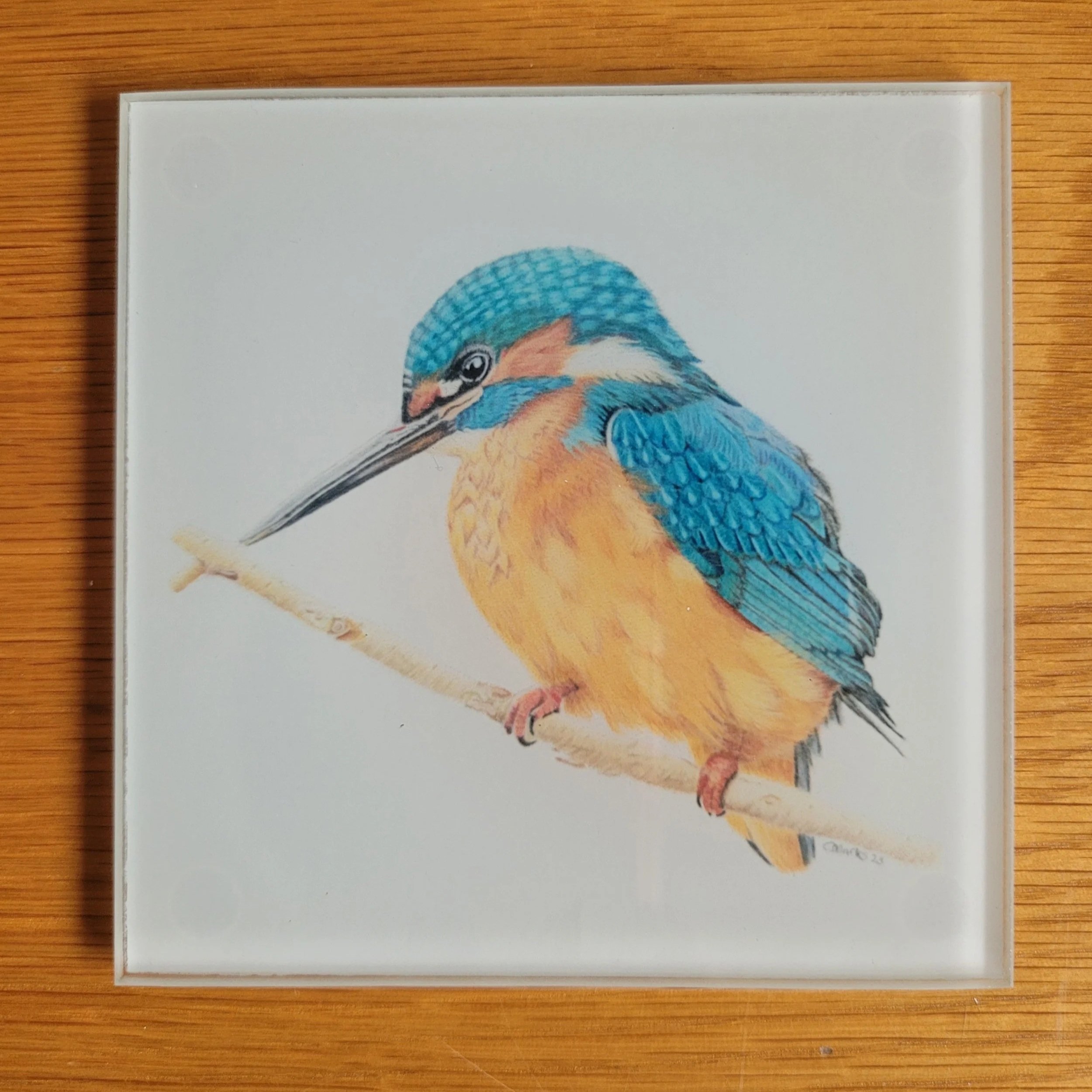 Kingfisher glass coasters