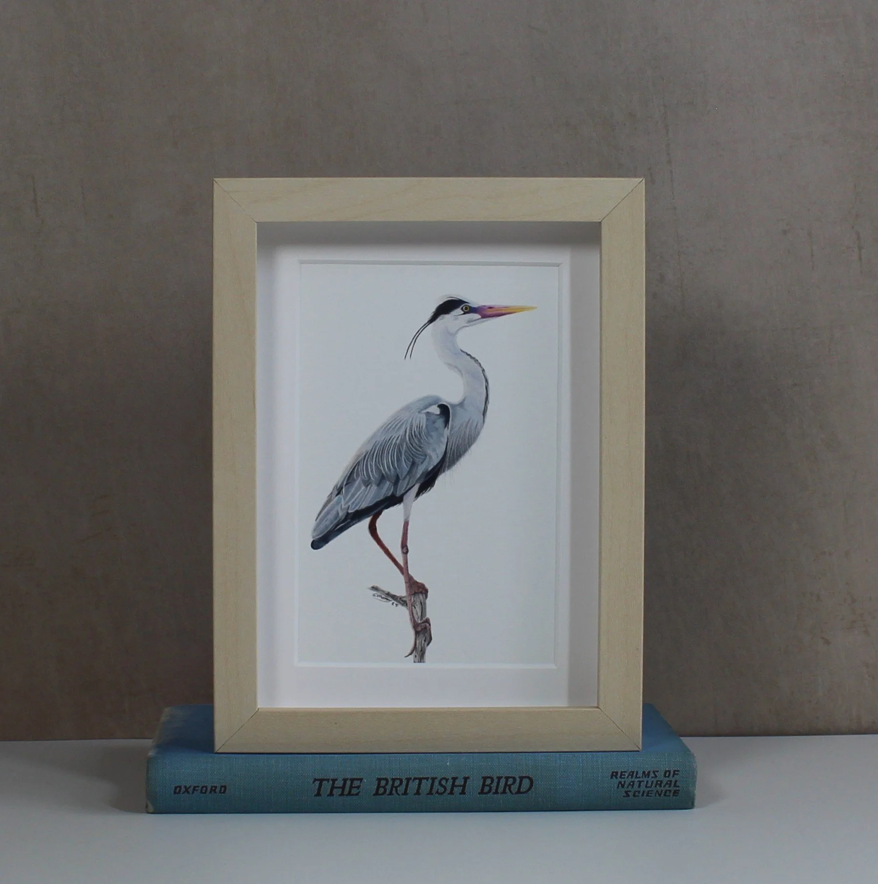 Heron small framed fine art print