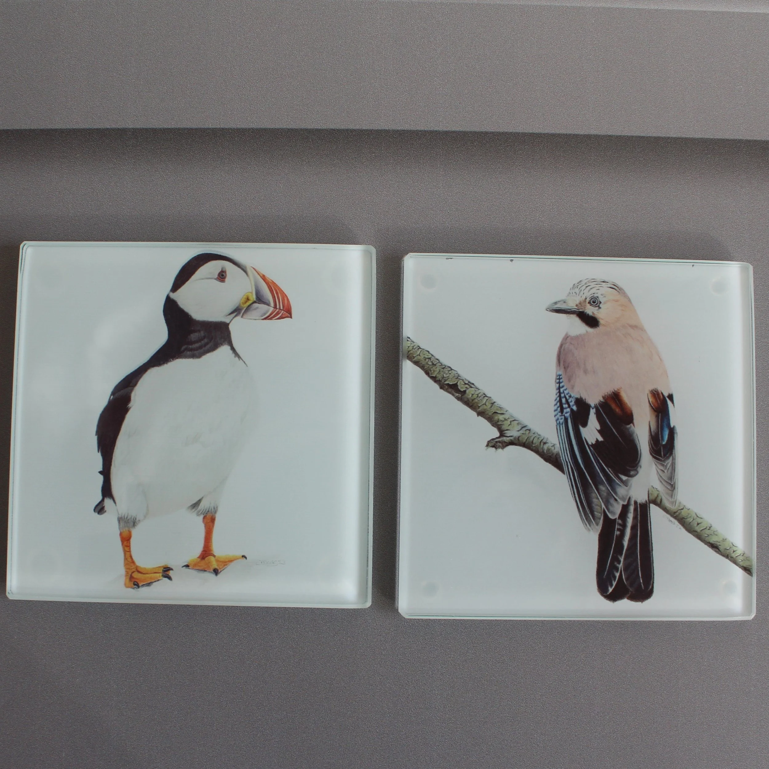 Puffin and jay glass coasters.