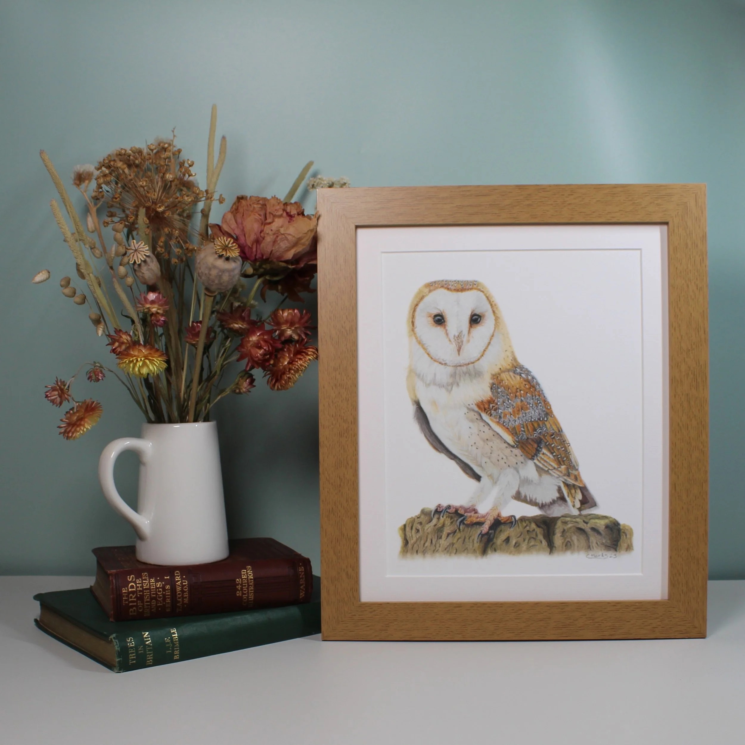 Barn owl large framed fine art print