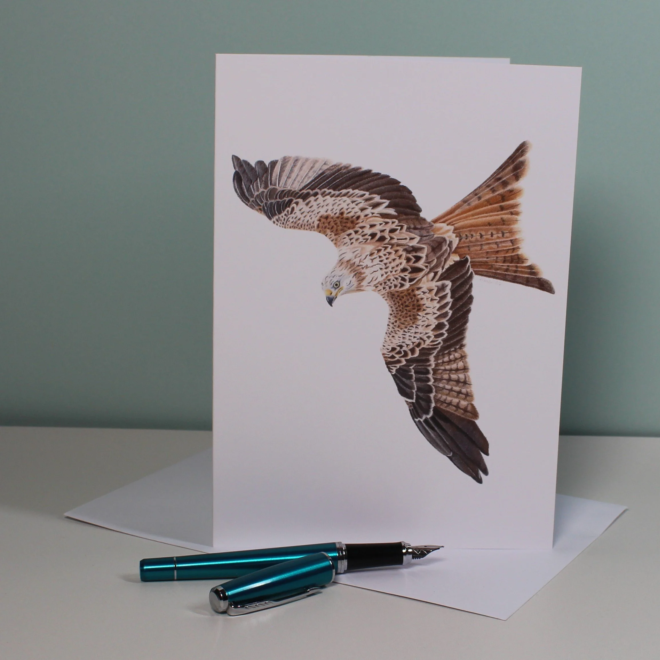 Red kite greetings card (blank inside)