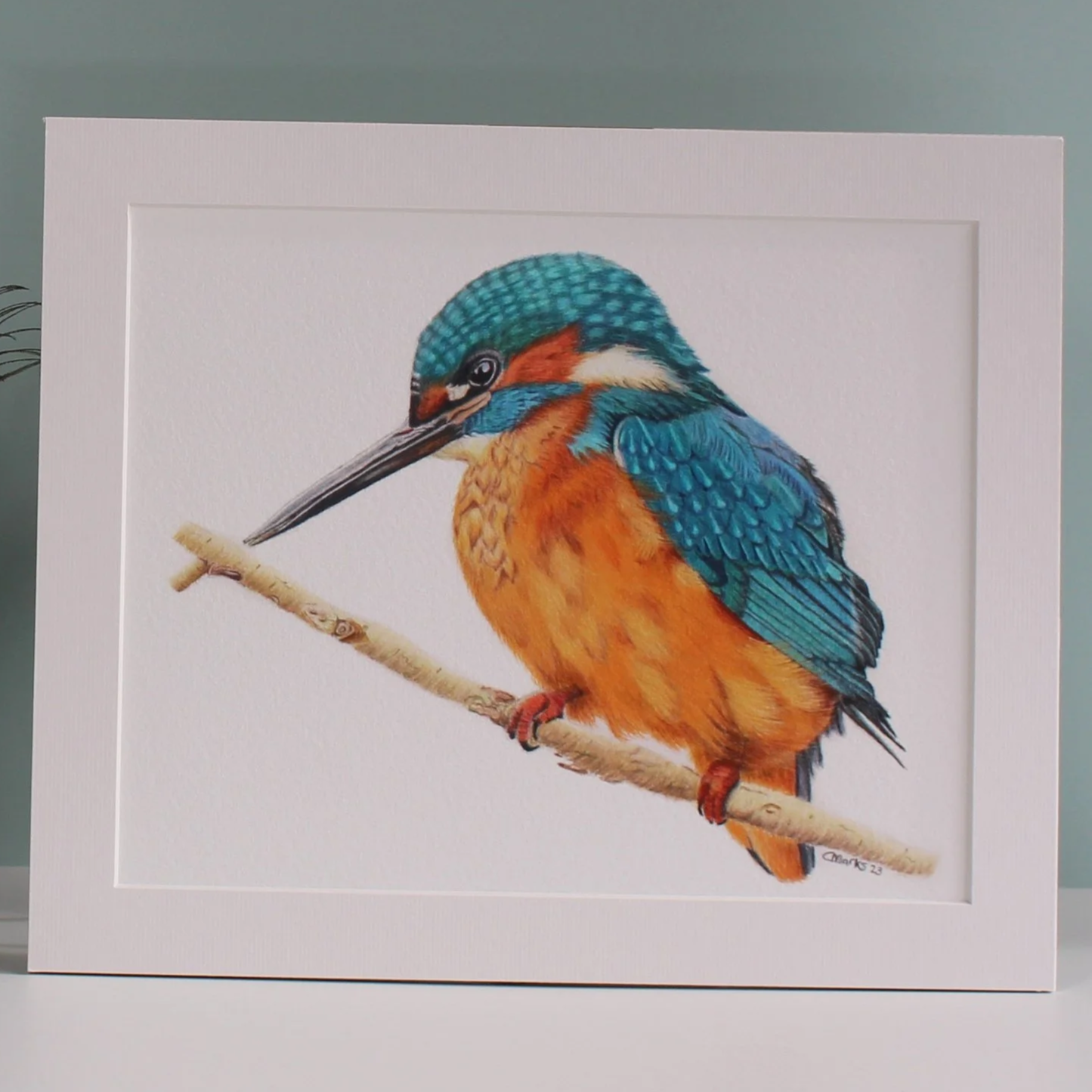 A close up photo of a kingfisher fine art print.