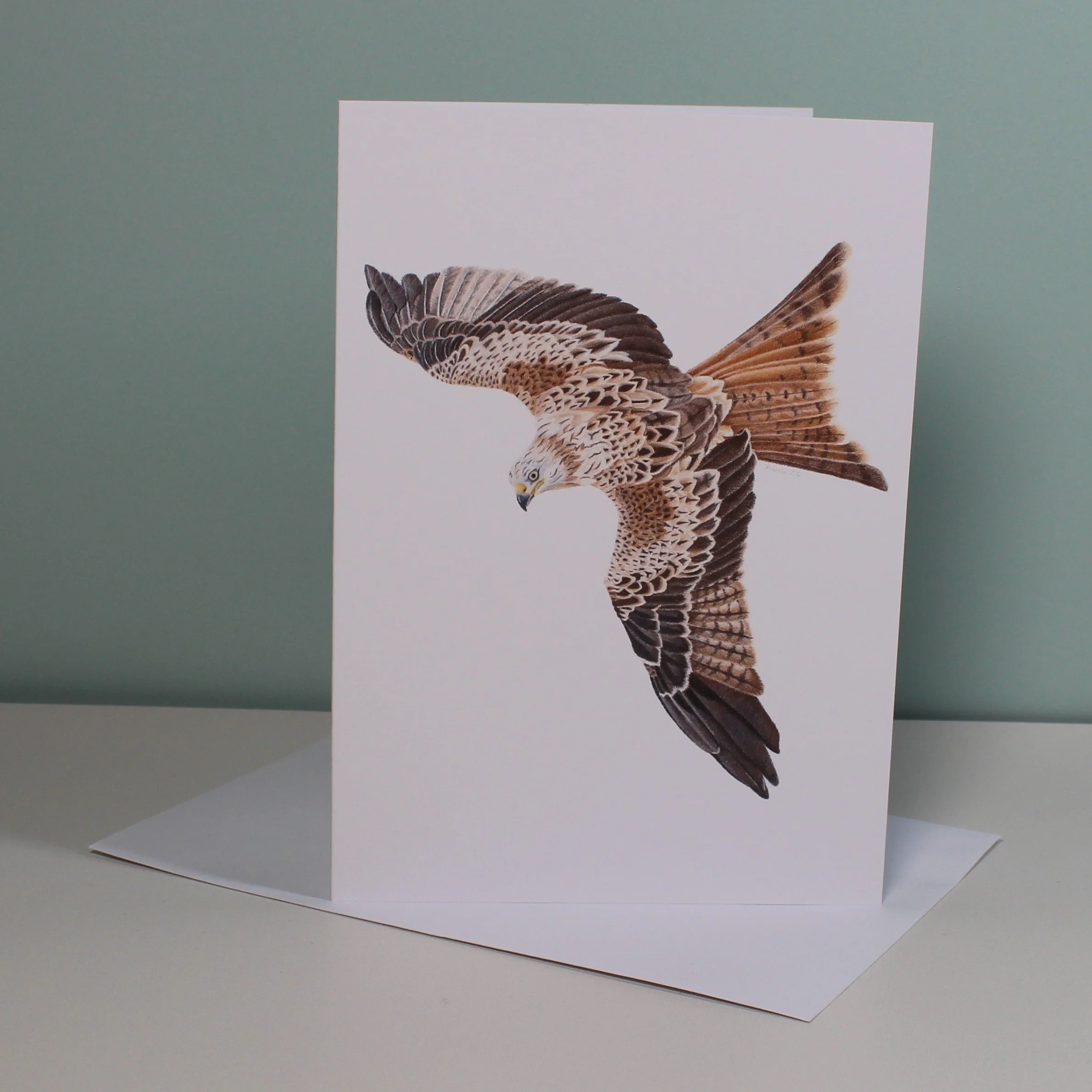 Red kite greetings card (blank inside).