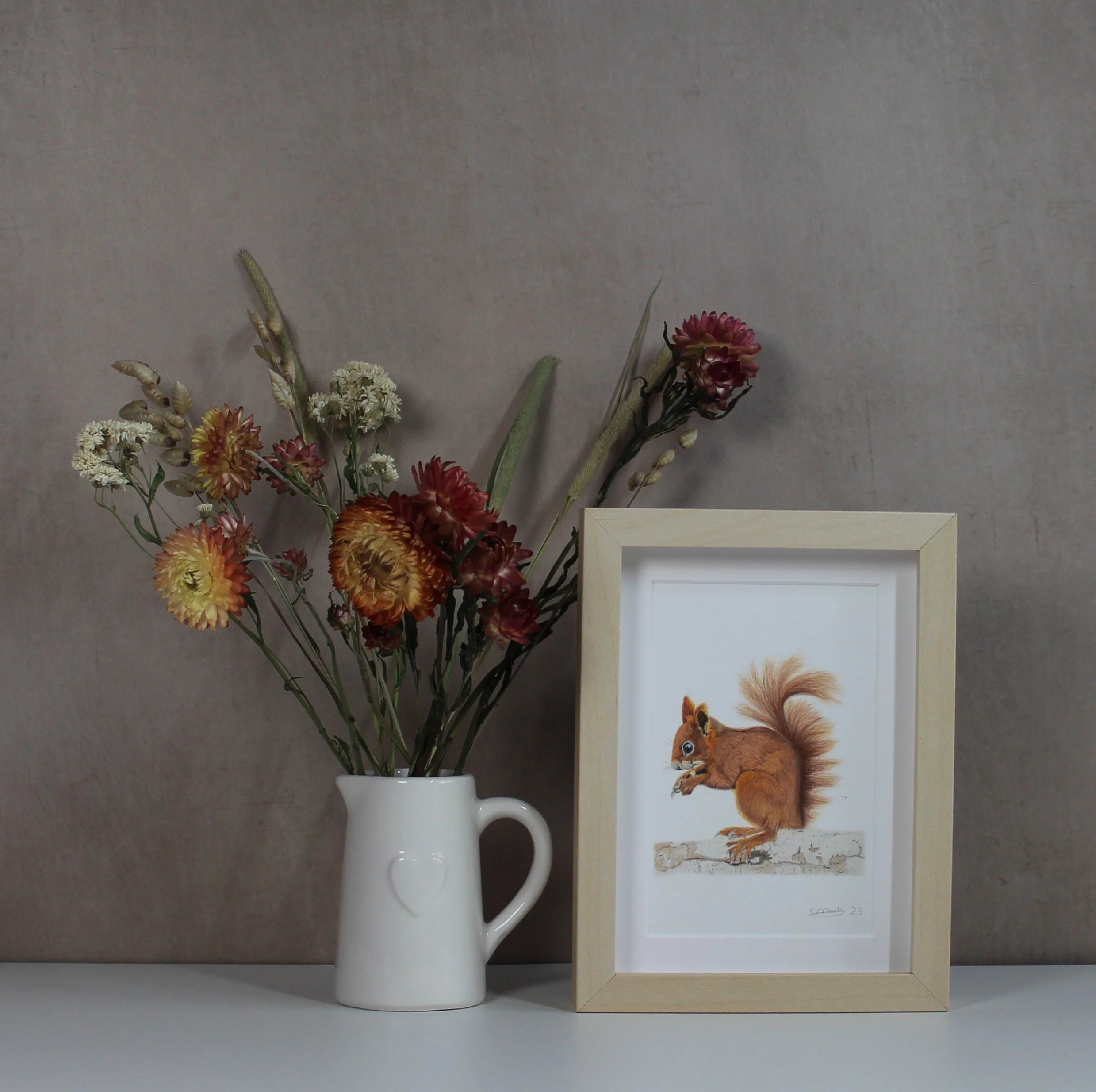 Red squirrel small framed fine art print