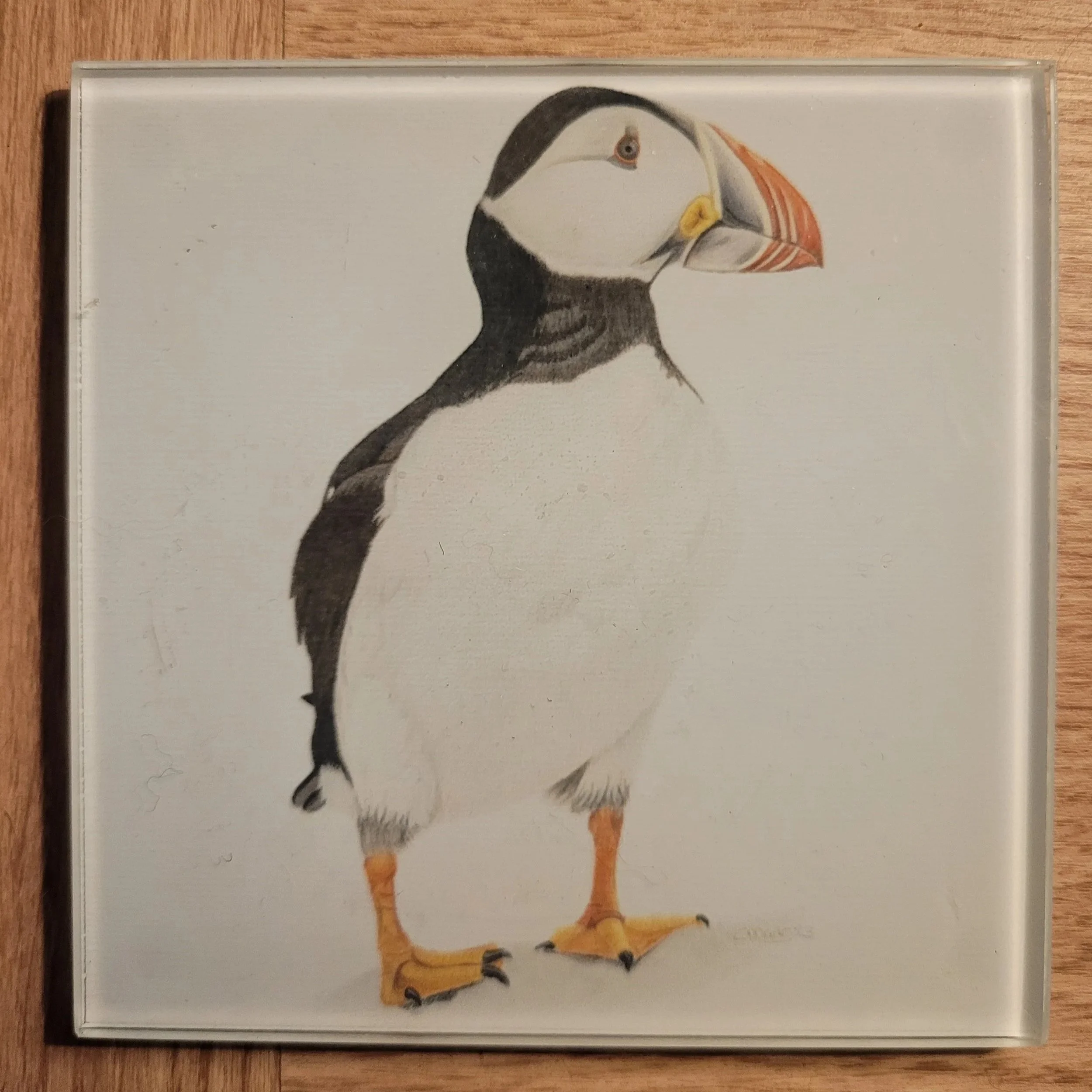 Puffin glass coasters.