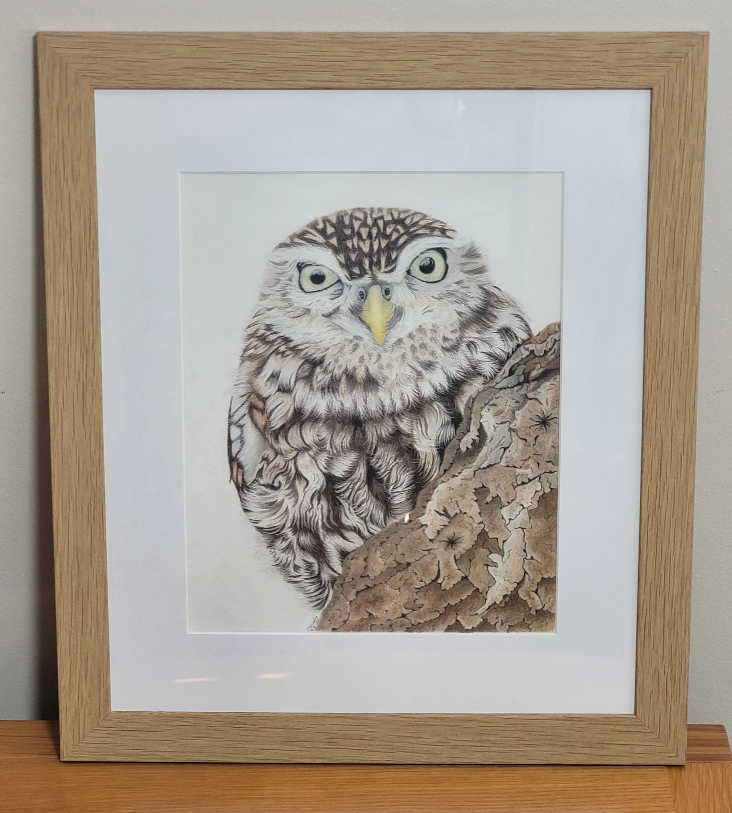 Little owl original artwork in a light wood frame.