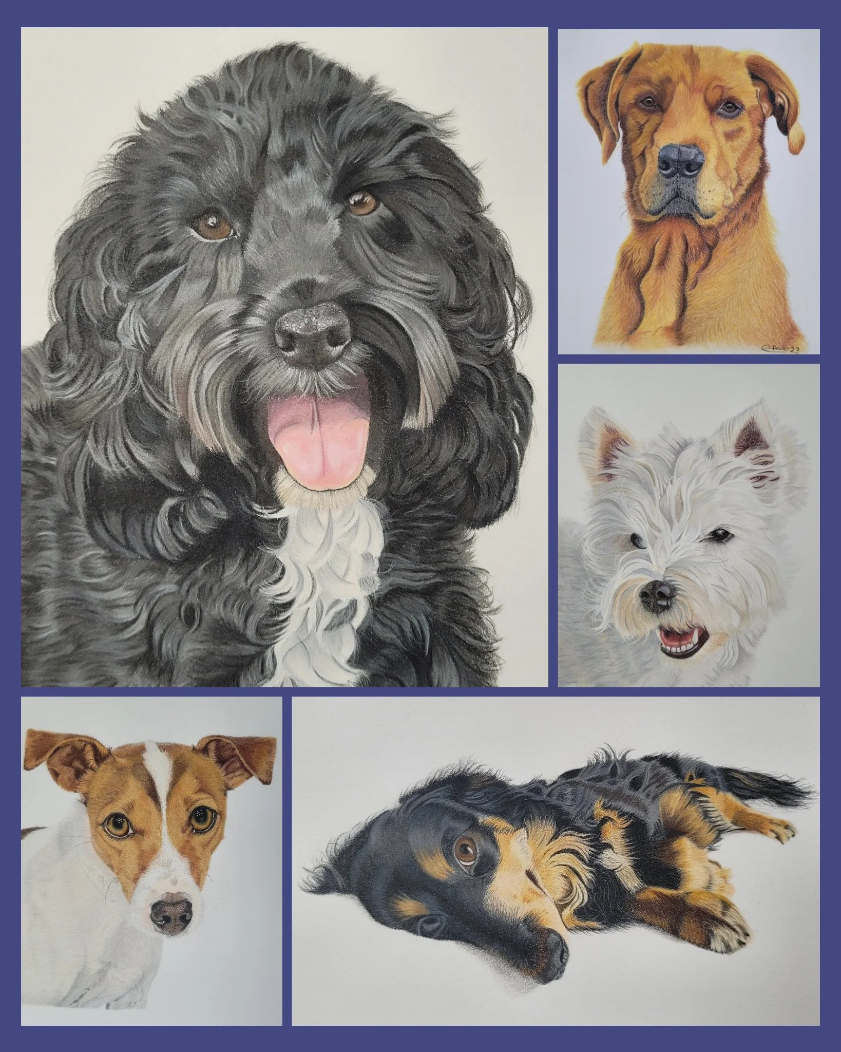 Dog pet portraits by CM Creative