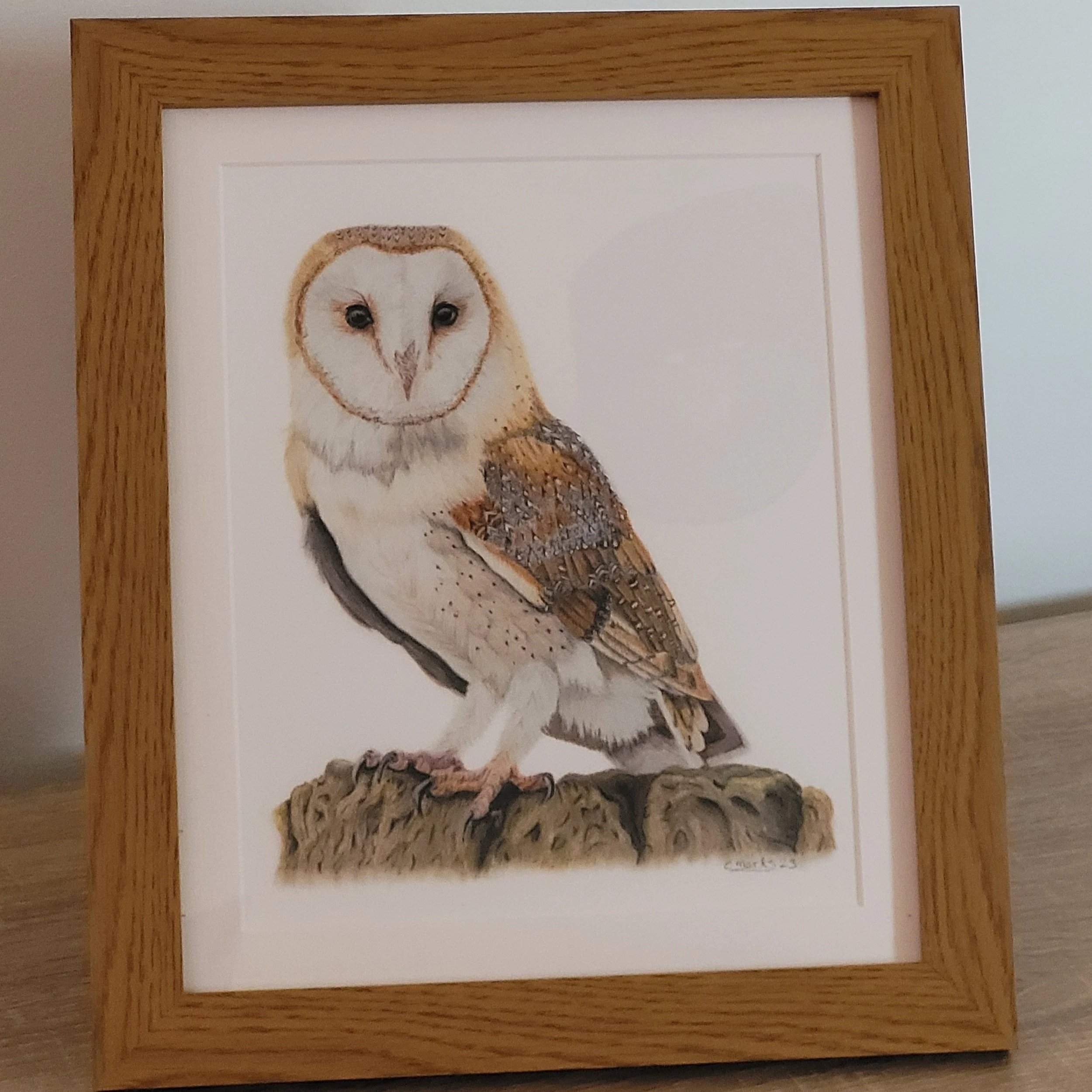Barn owl large frame fine art print.