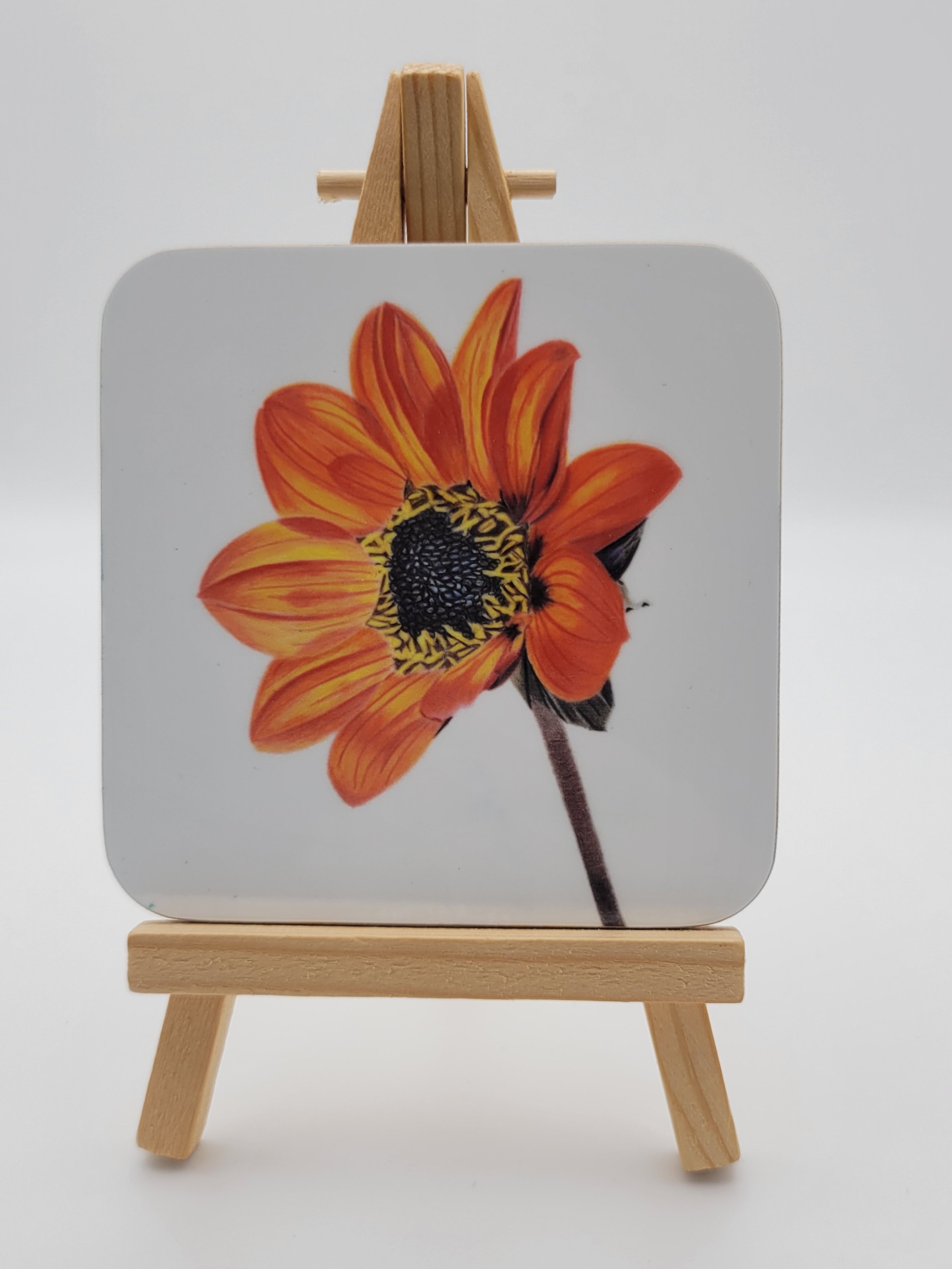 Dahlia coaster which is glossy and 9cm square.
