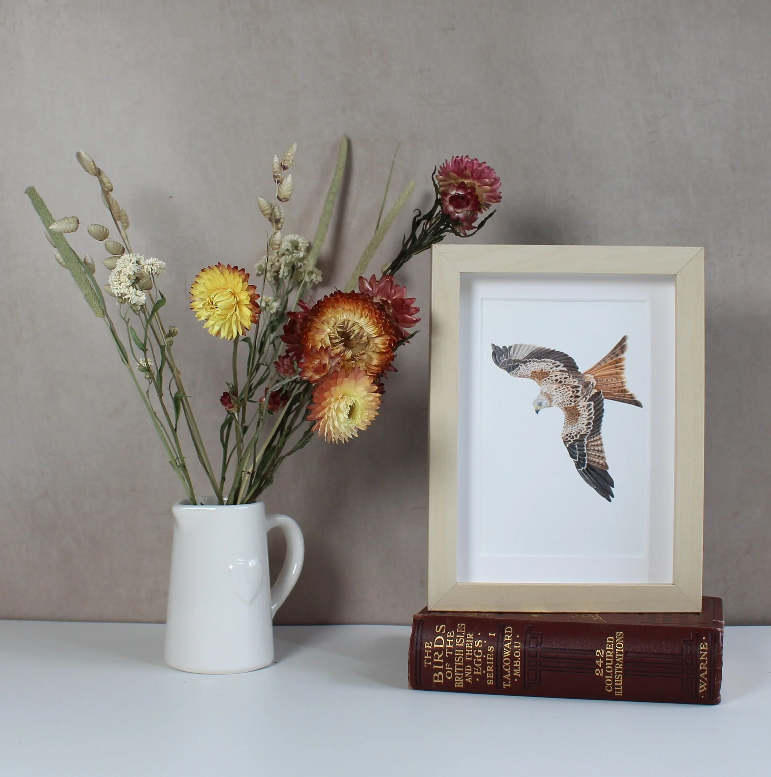 Red kite small framed fine art print