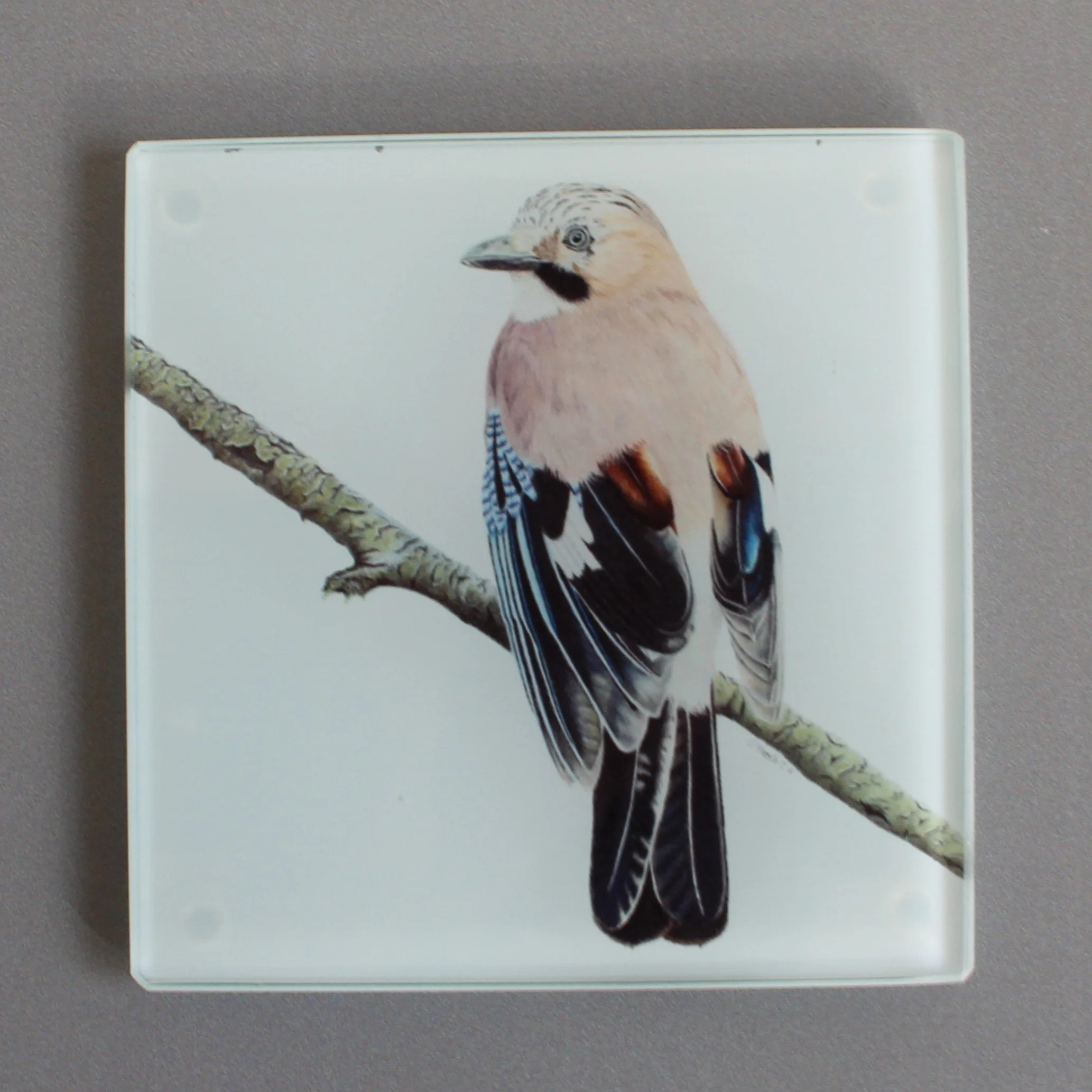 Jay glass coasters