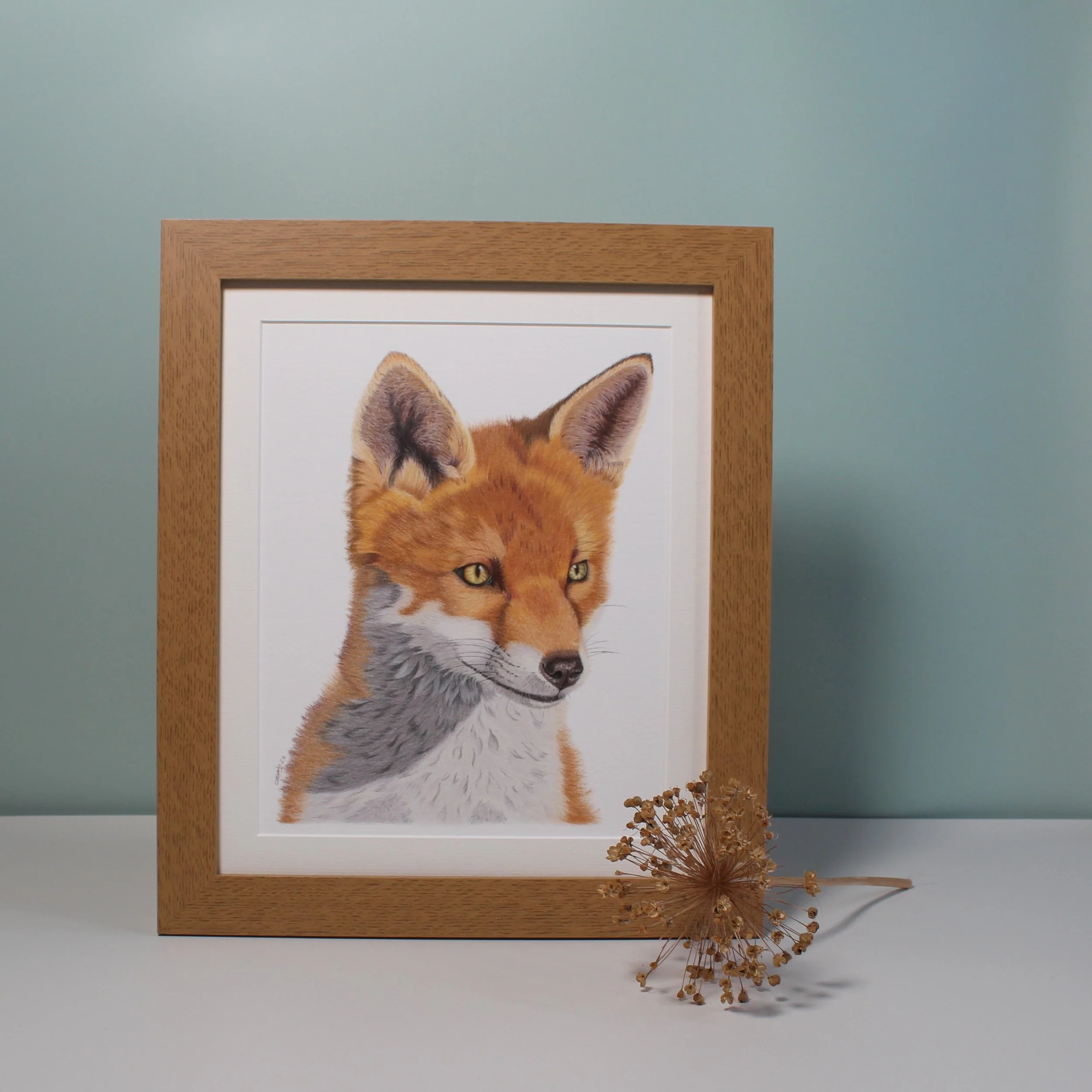 Gazing fox large framed fine art print