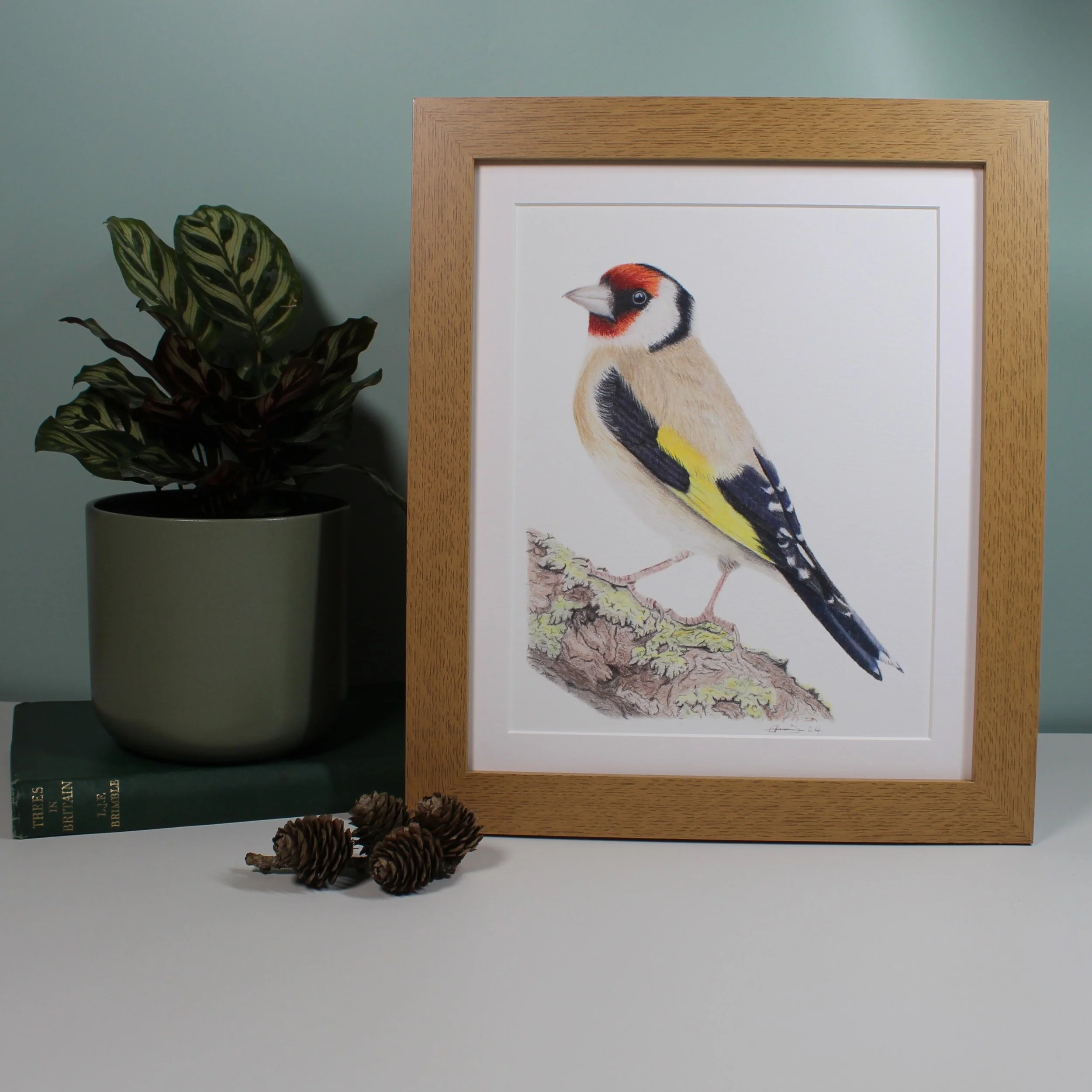 Goldfinch large framed fine art print