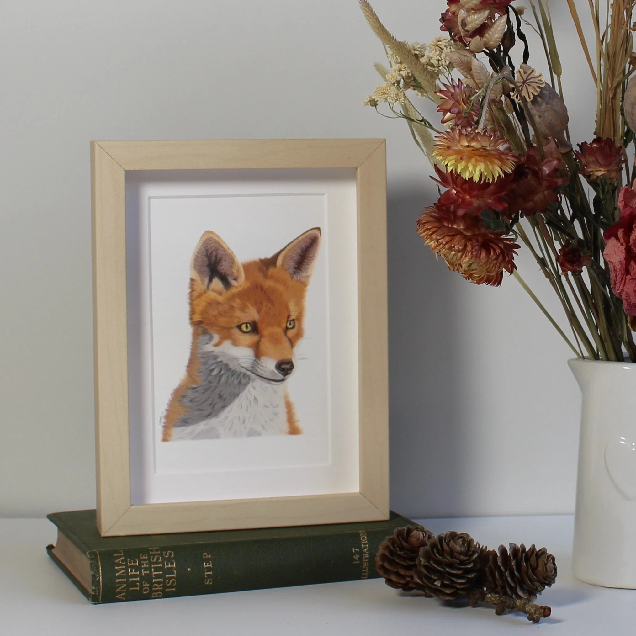 Gazing fox small framed fine art print.