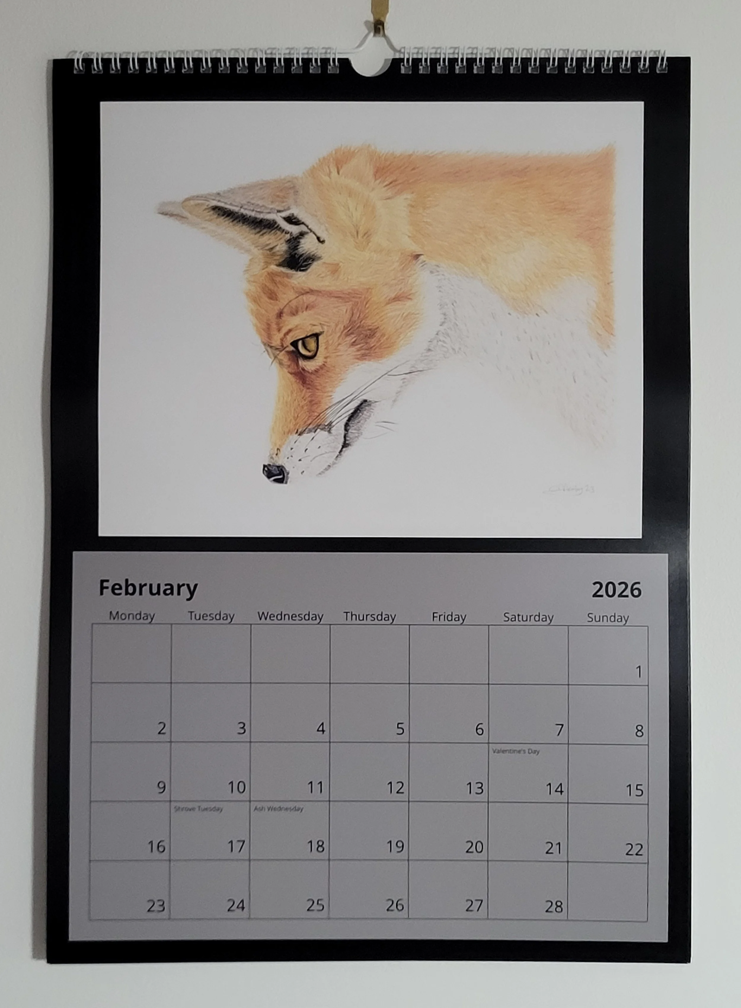 2026 British wildlife A3 wall calendar. A fox is featured in February.