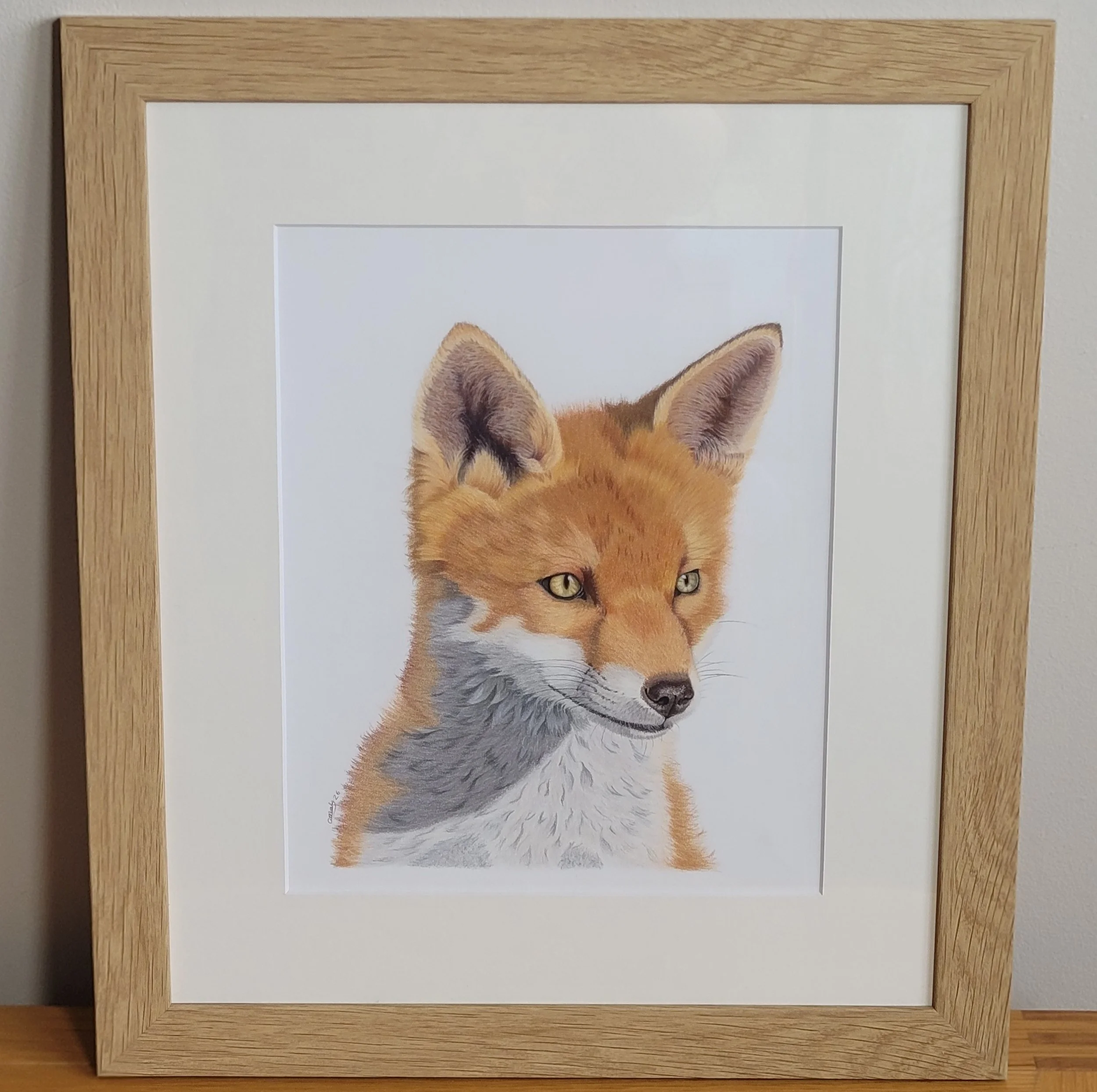 Gazing fox original artwork.