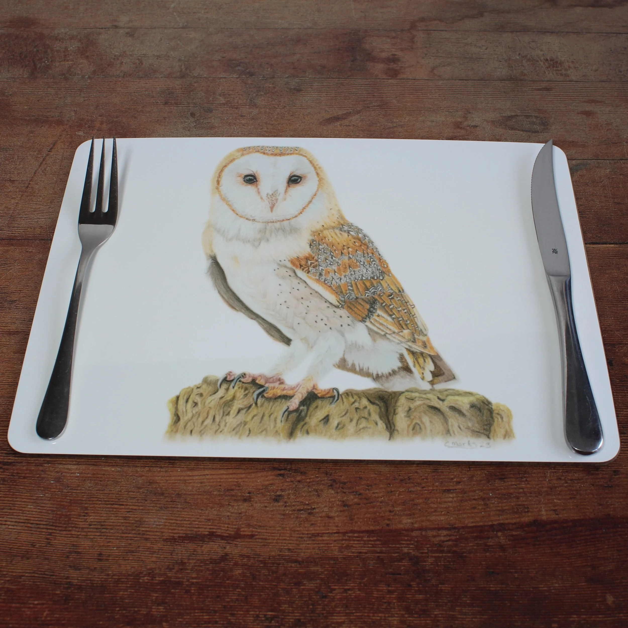 Barn owl individual placements