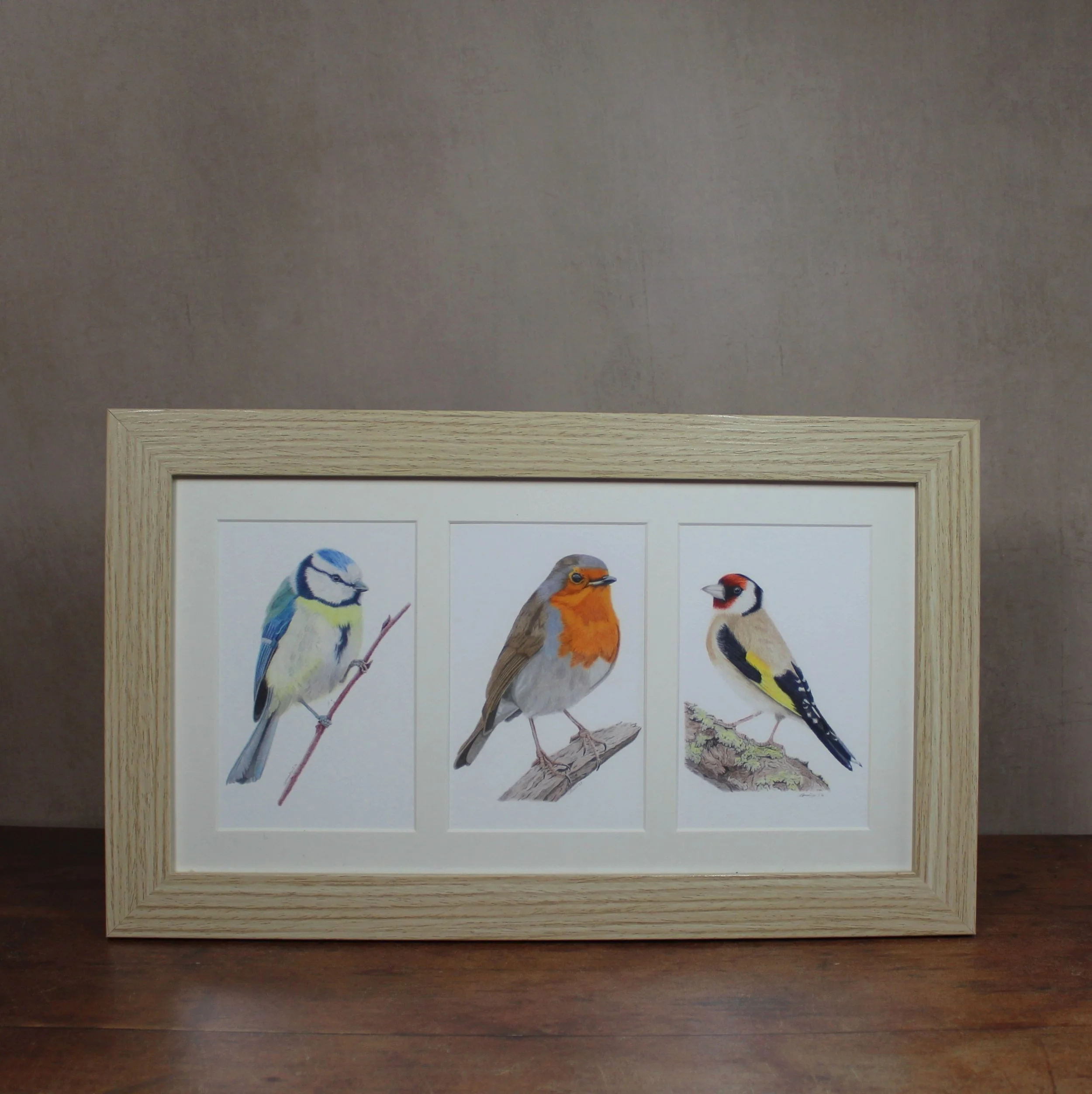 Framed fine art prints of three favourite garden birds (robin, goldfinch and blue tit).