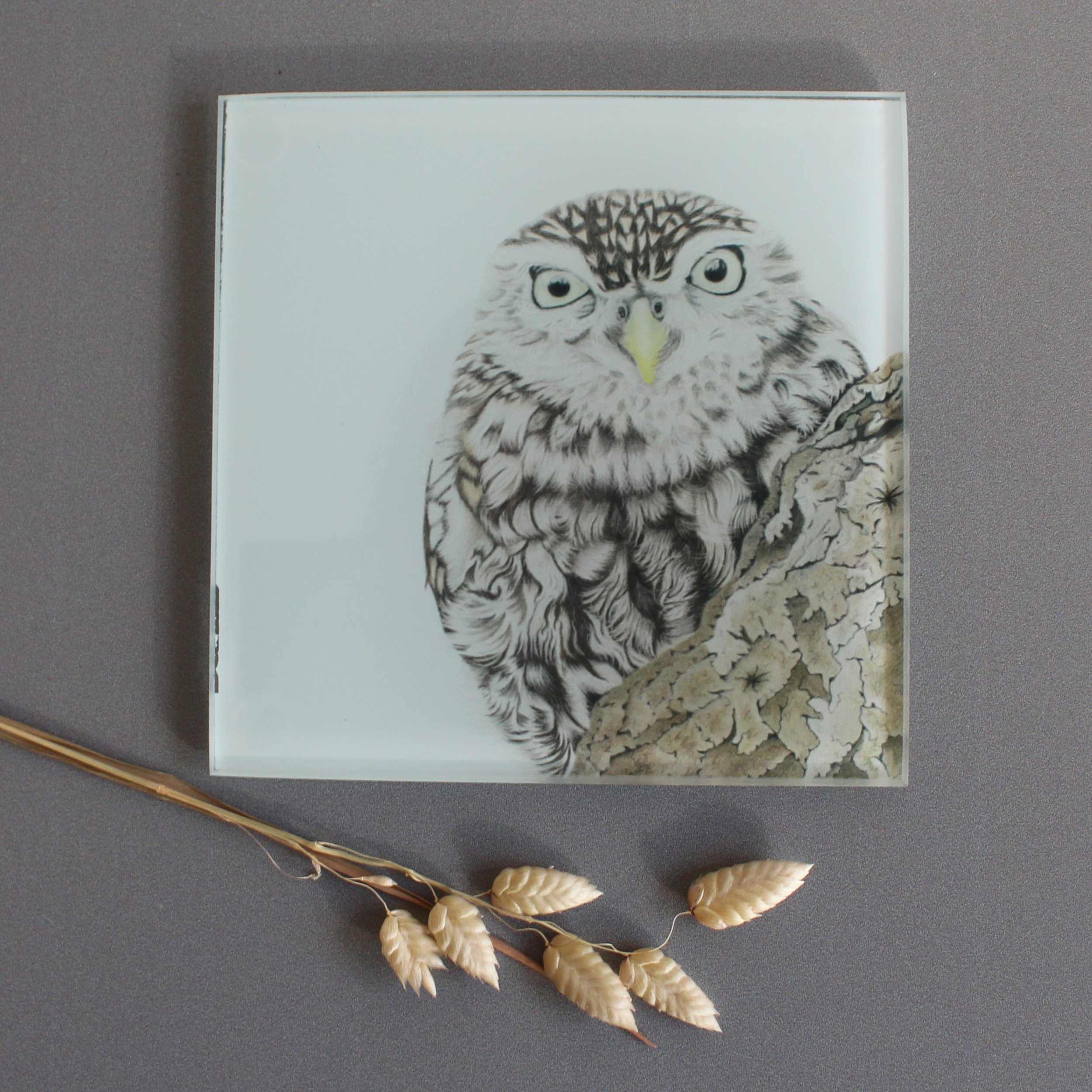 Little owl glass coasters