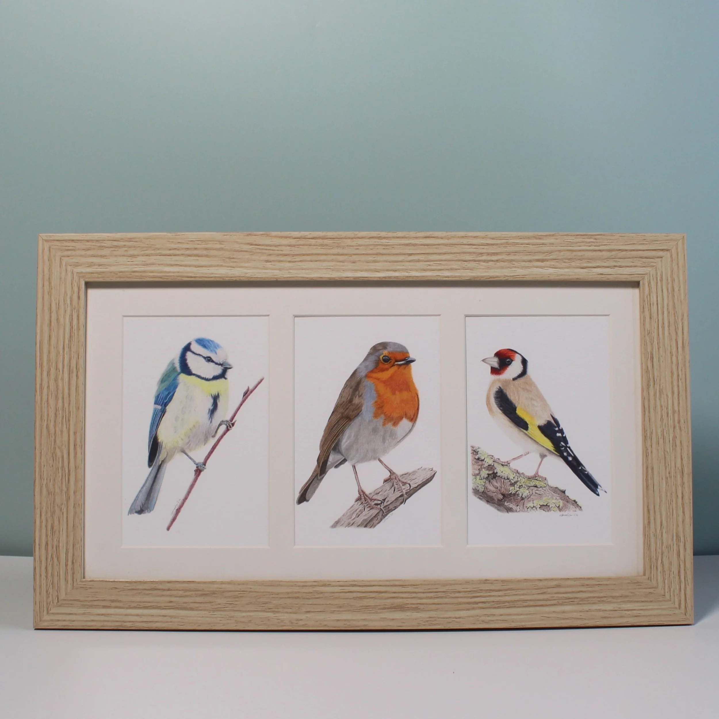 Framed fine art prints of three favourite garden birds (robin, goldfinch and blue tit)